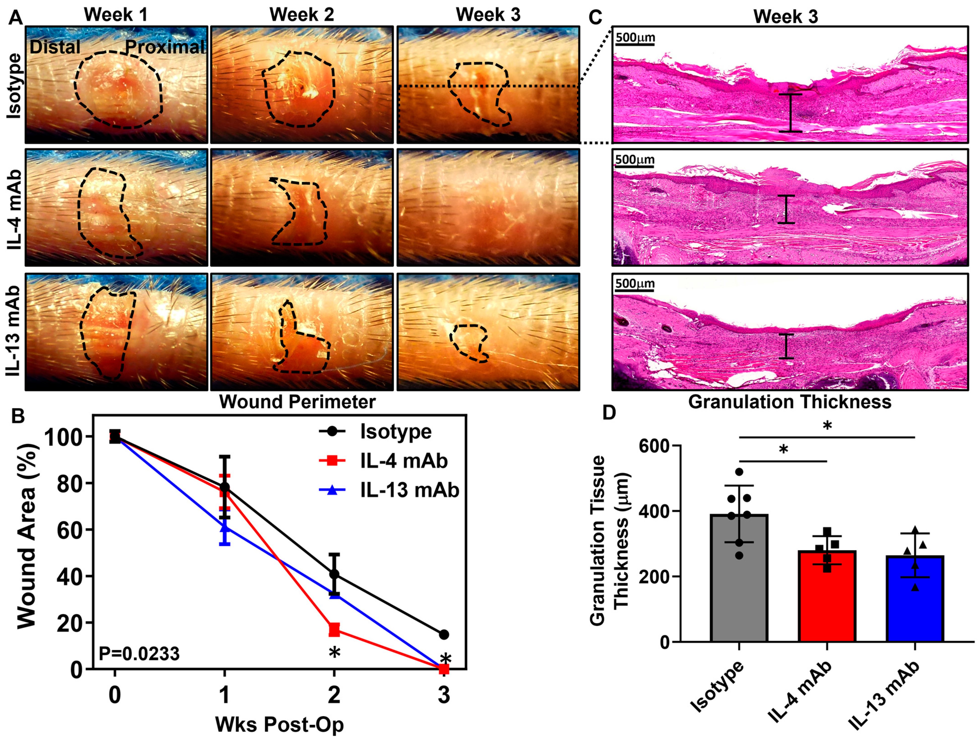 Biomedicines 13 01026 g004