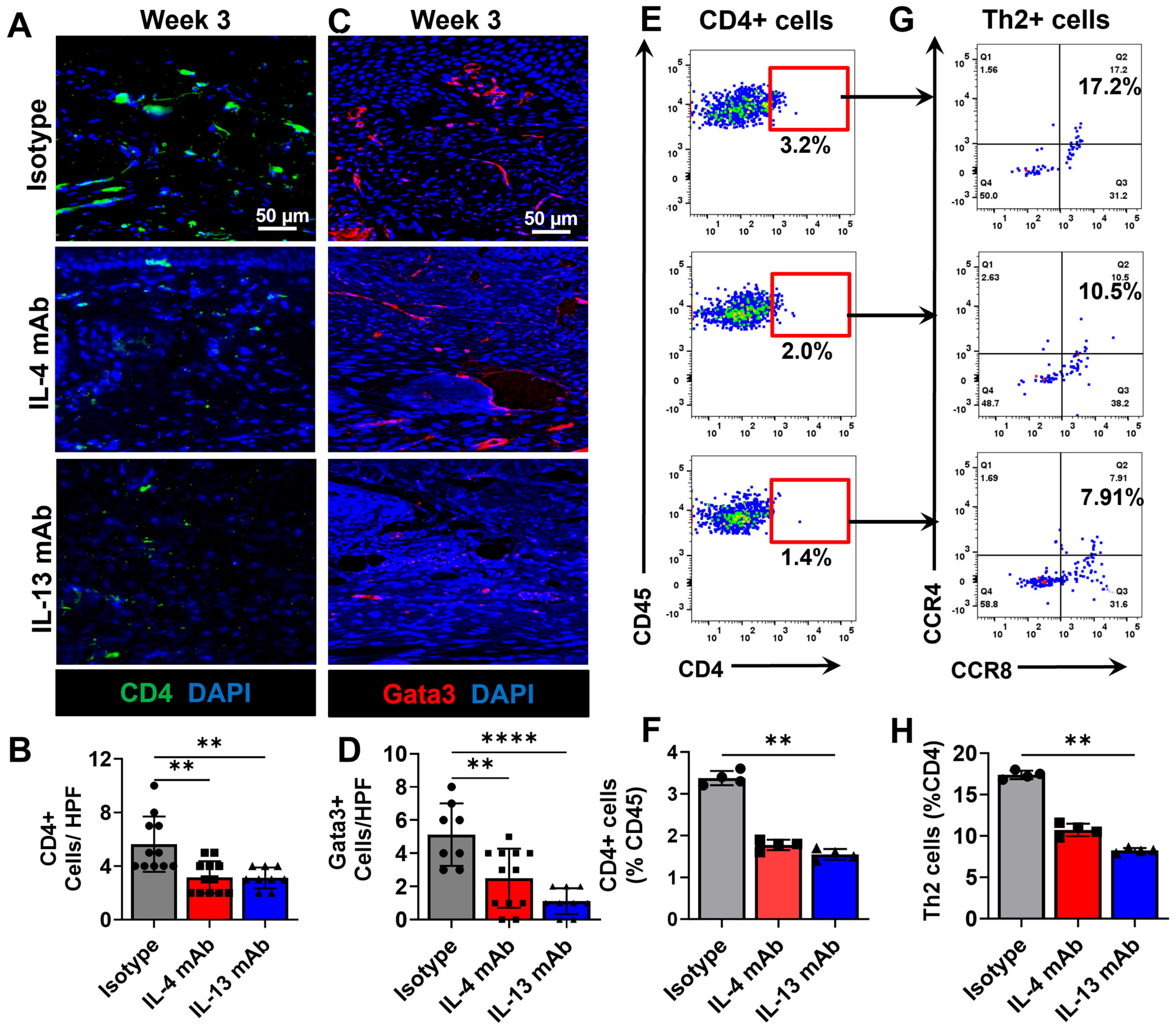Biomedicines 13 01026 g005