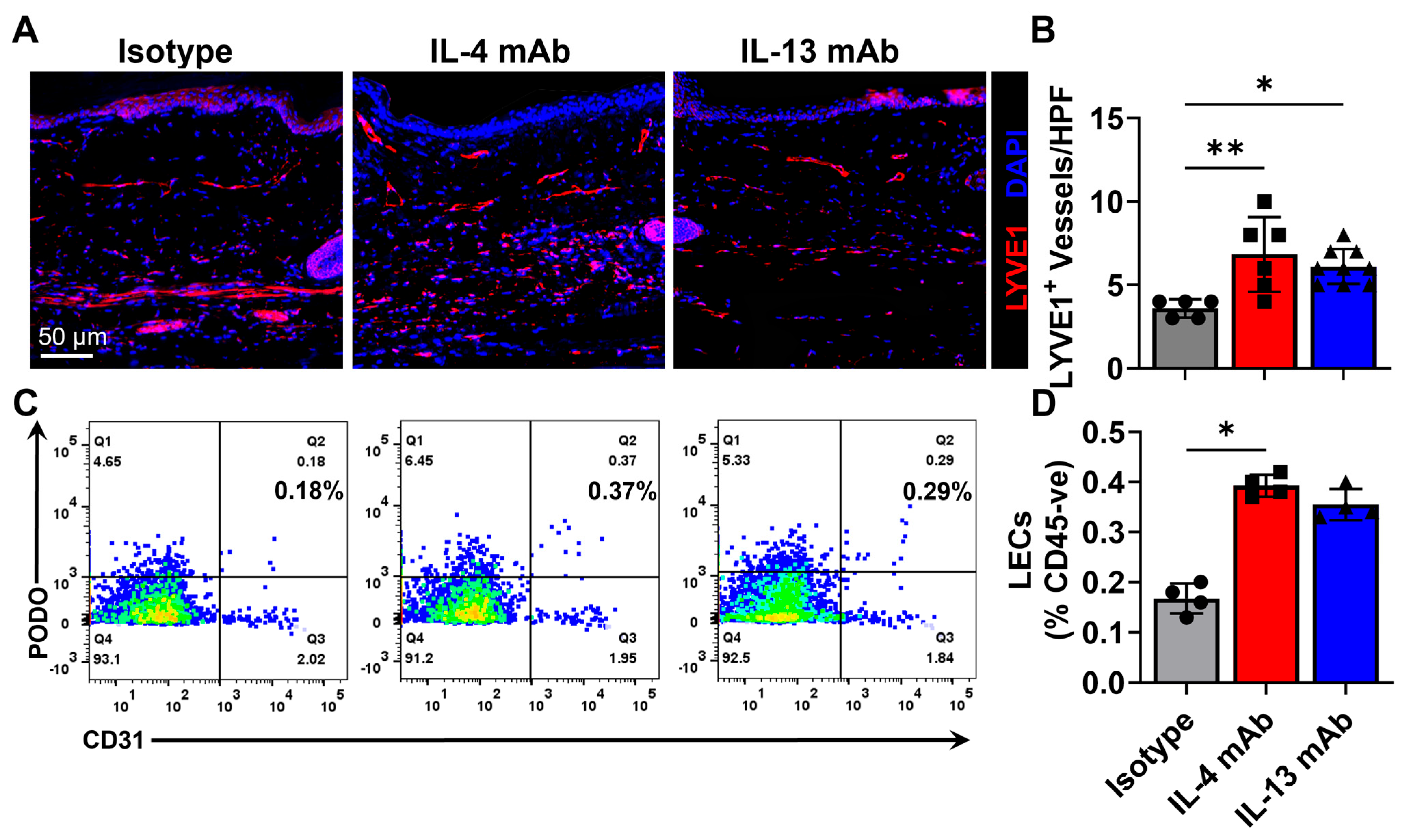 Biomedicines 13 01026 g006