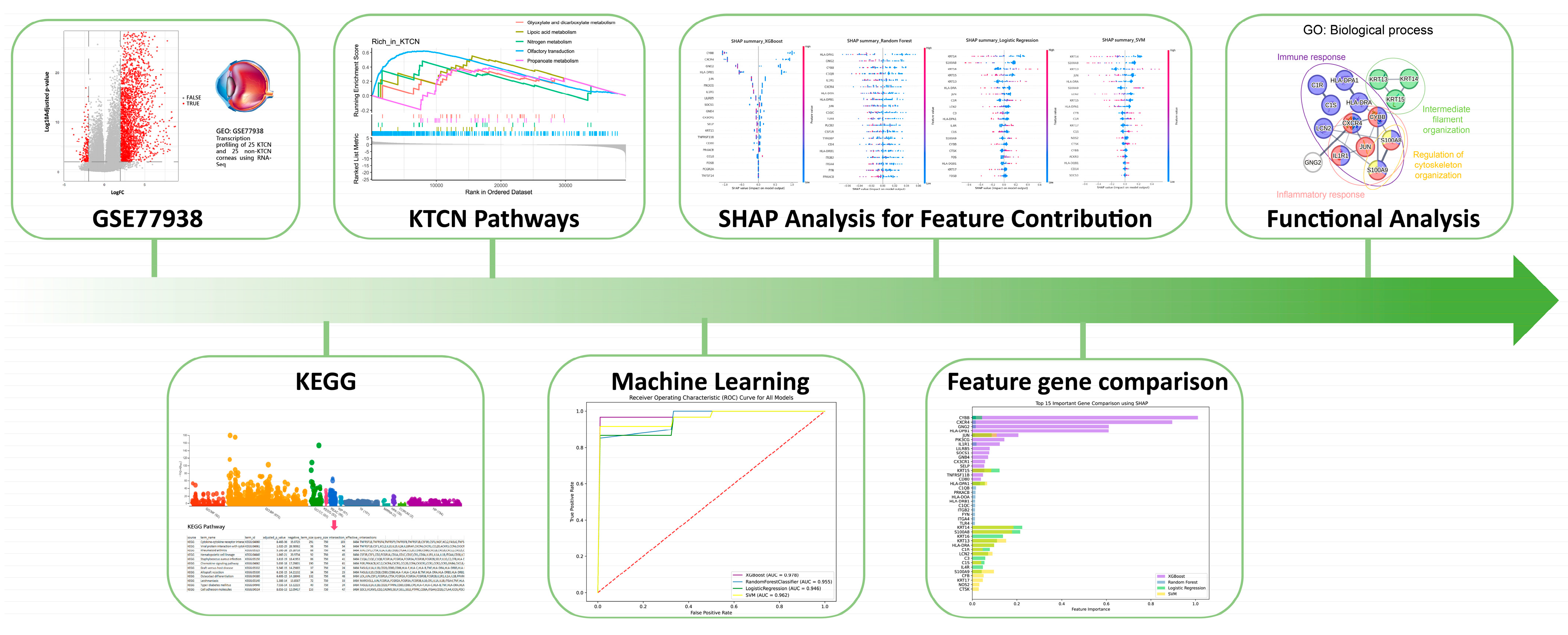 Biomedicines 13 01032 g001