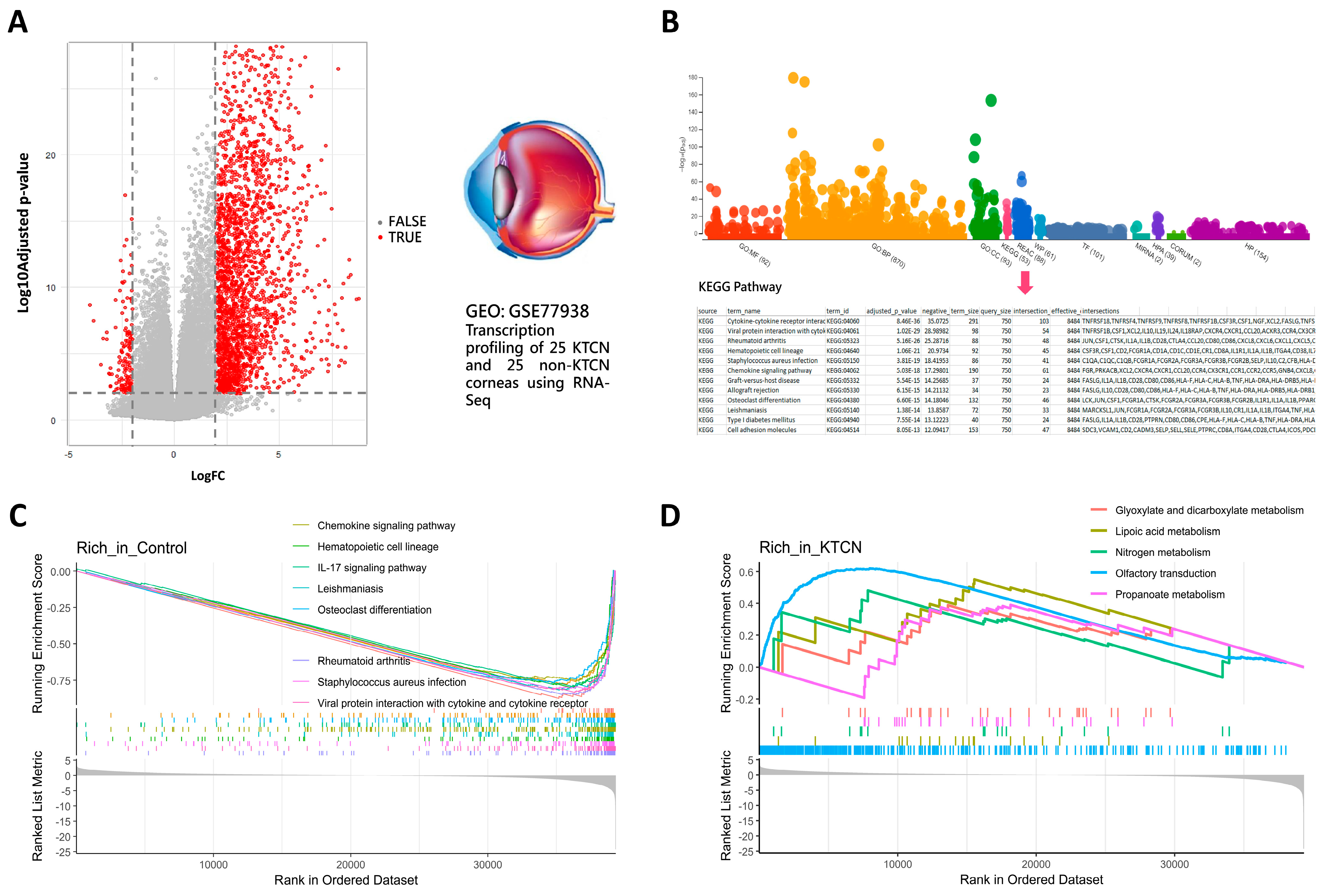 Biomedicines 13 01032 g002