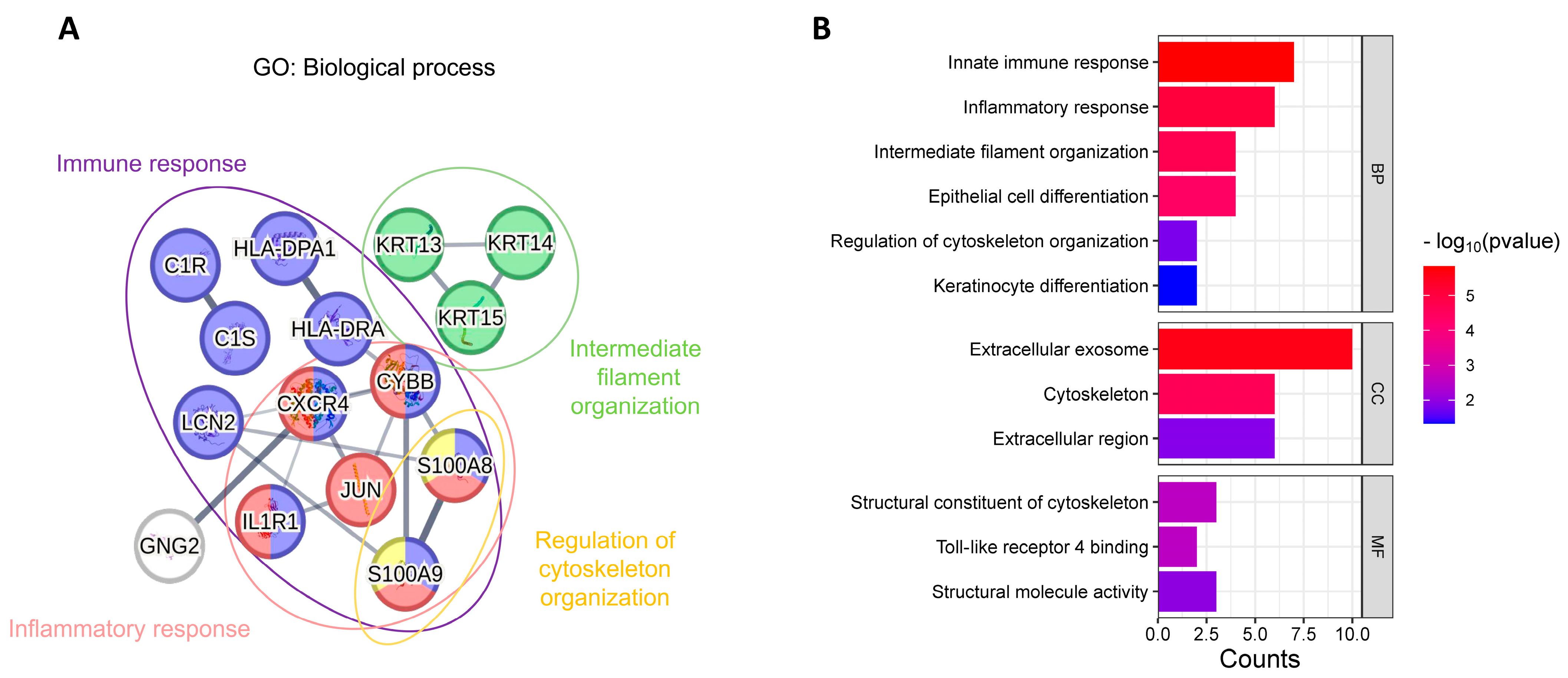 Biomedicines 13 01032 g006