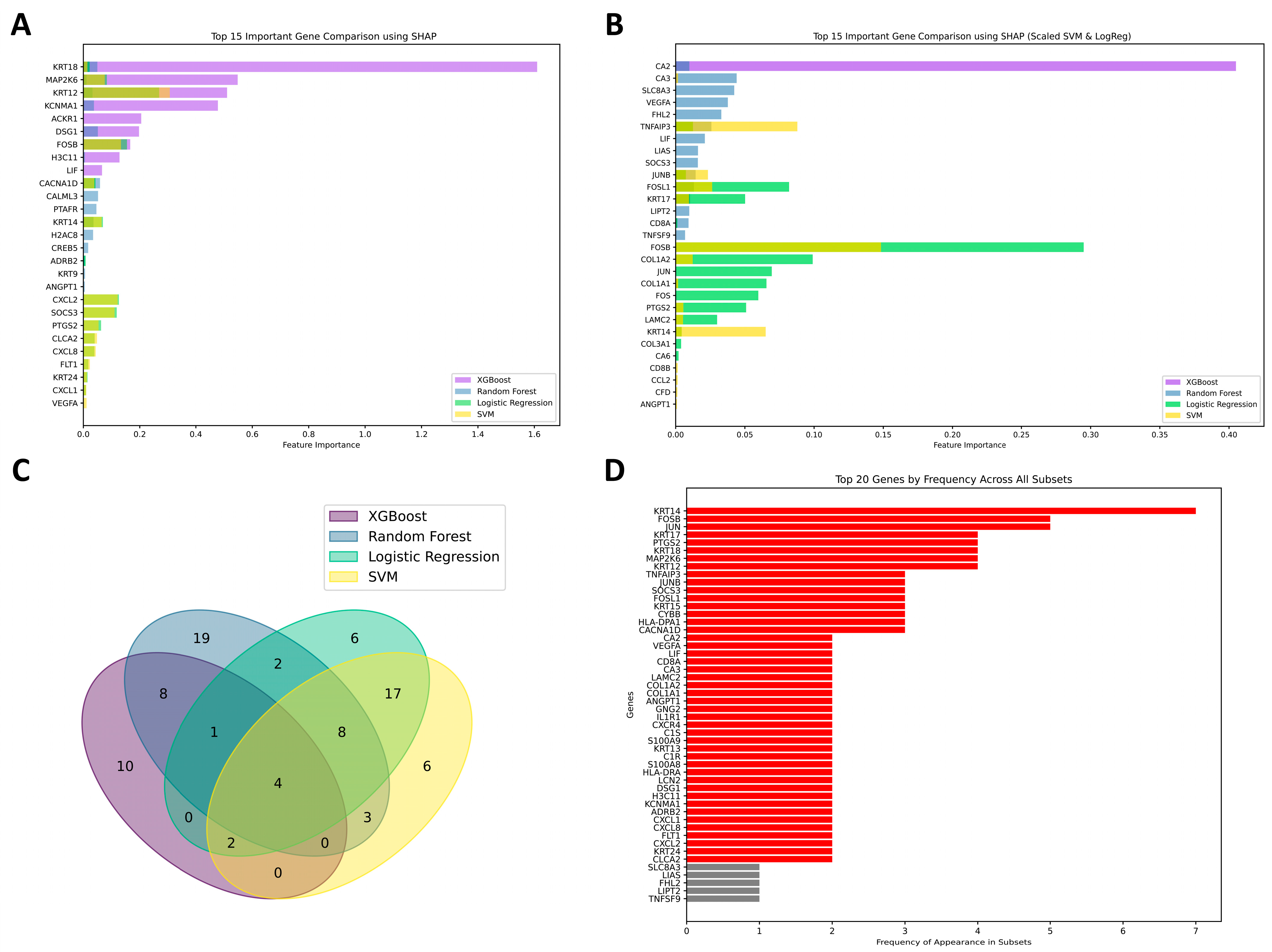 Biomedicines 13 01032 g007
