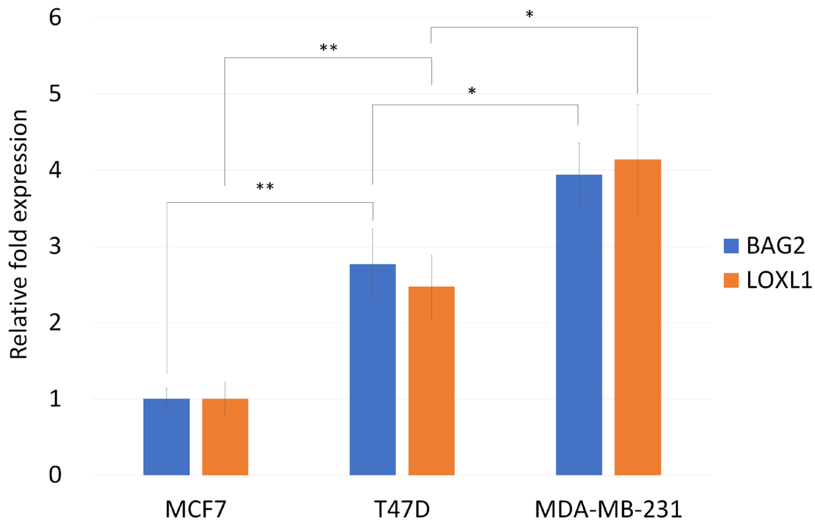 Biomedicines 13 01034 g004