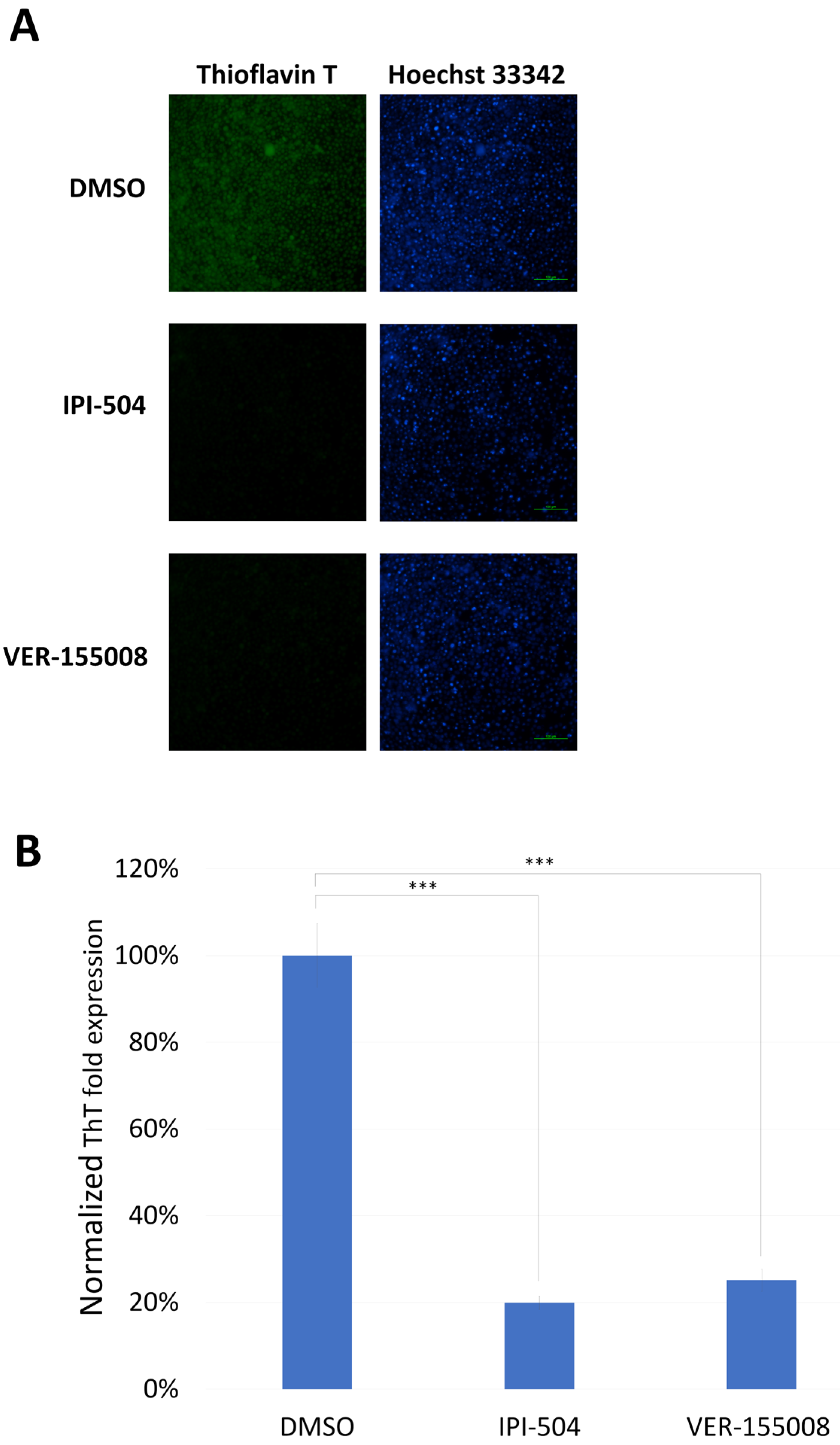 Biomedicines 13 01034 g006