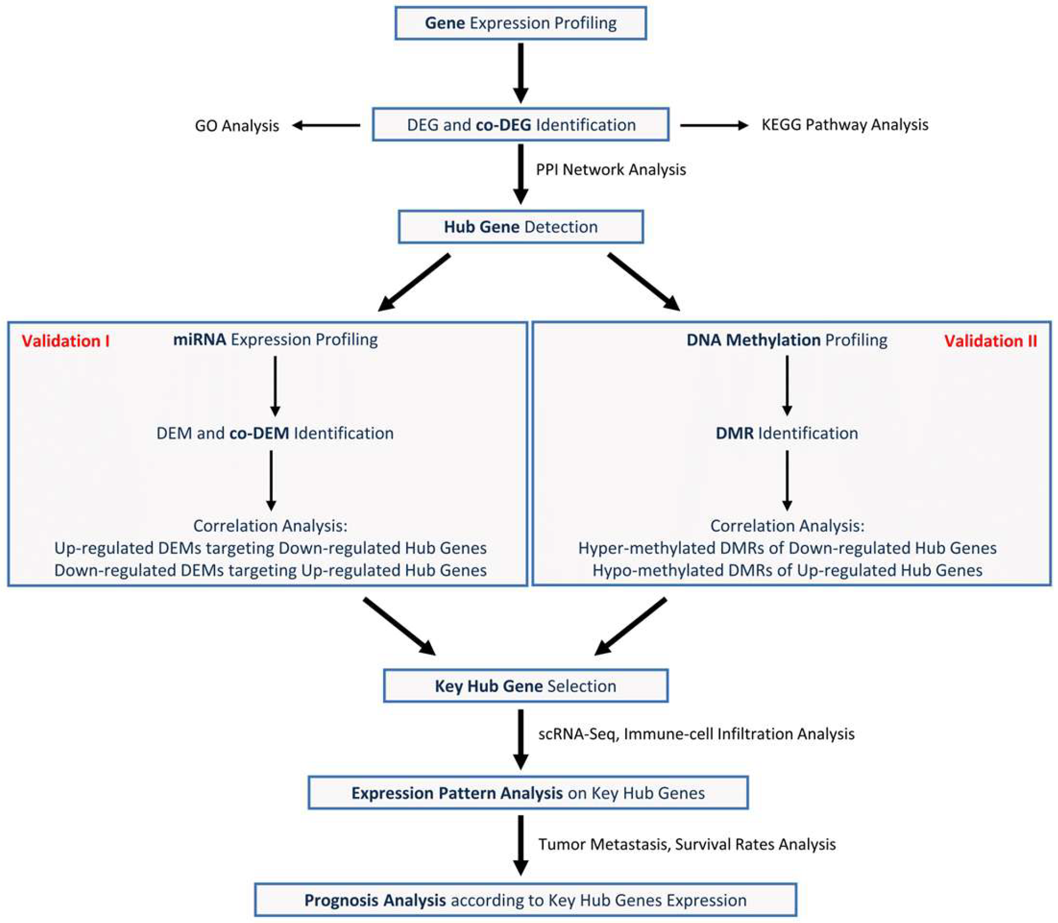 Biomedicines 13 01035 g001