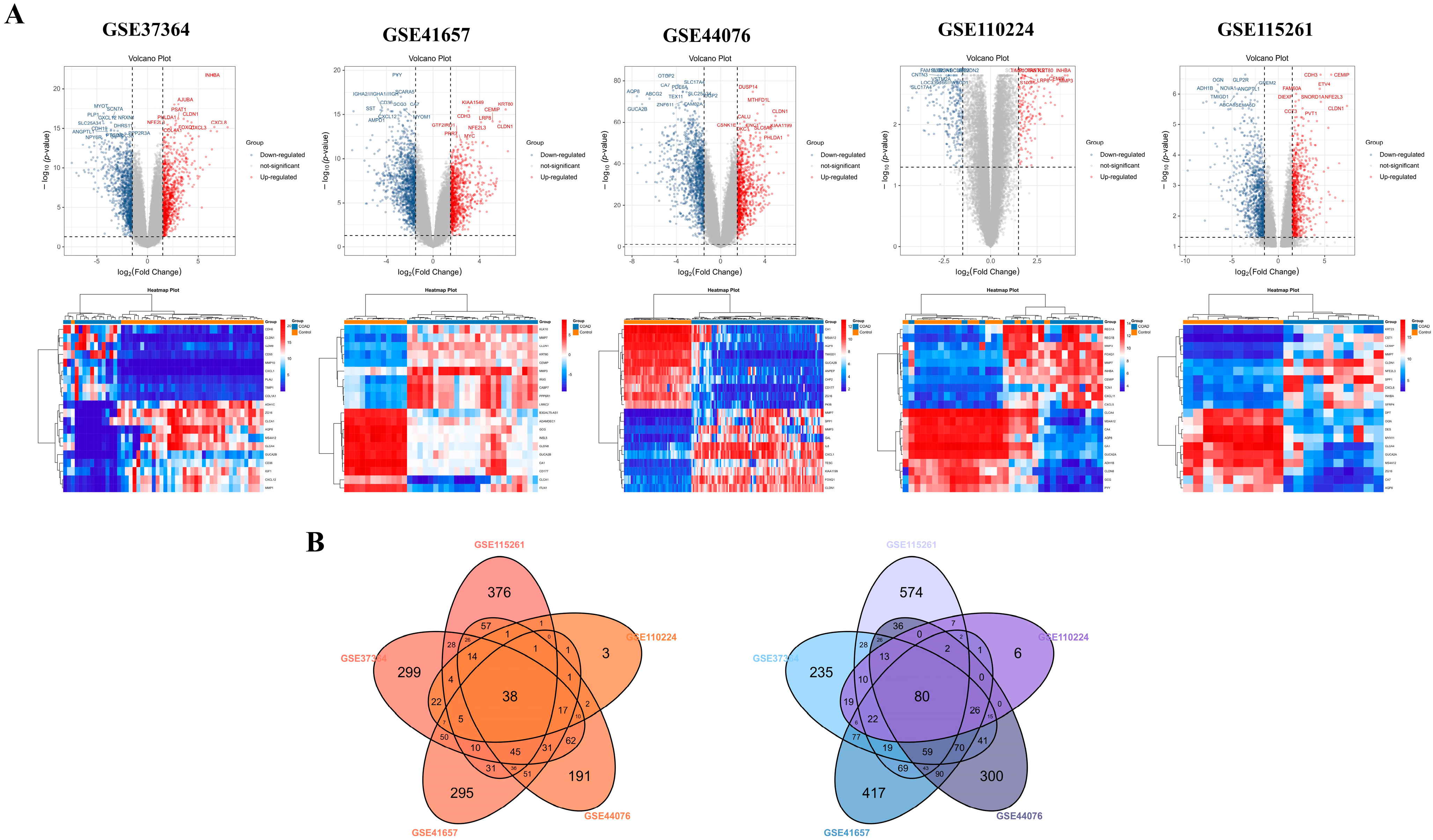 Biomedicines 13 01035 g002