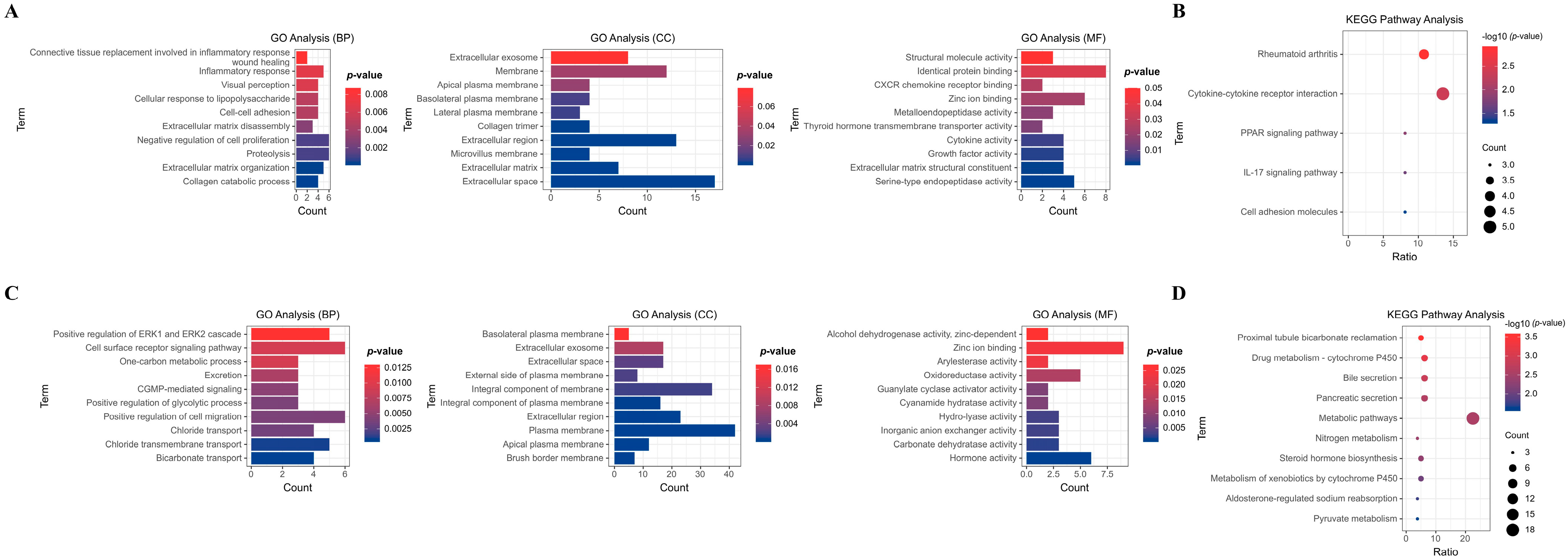 Biomedicines 13 01035 g003
