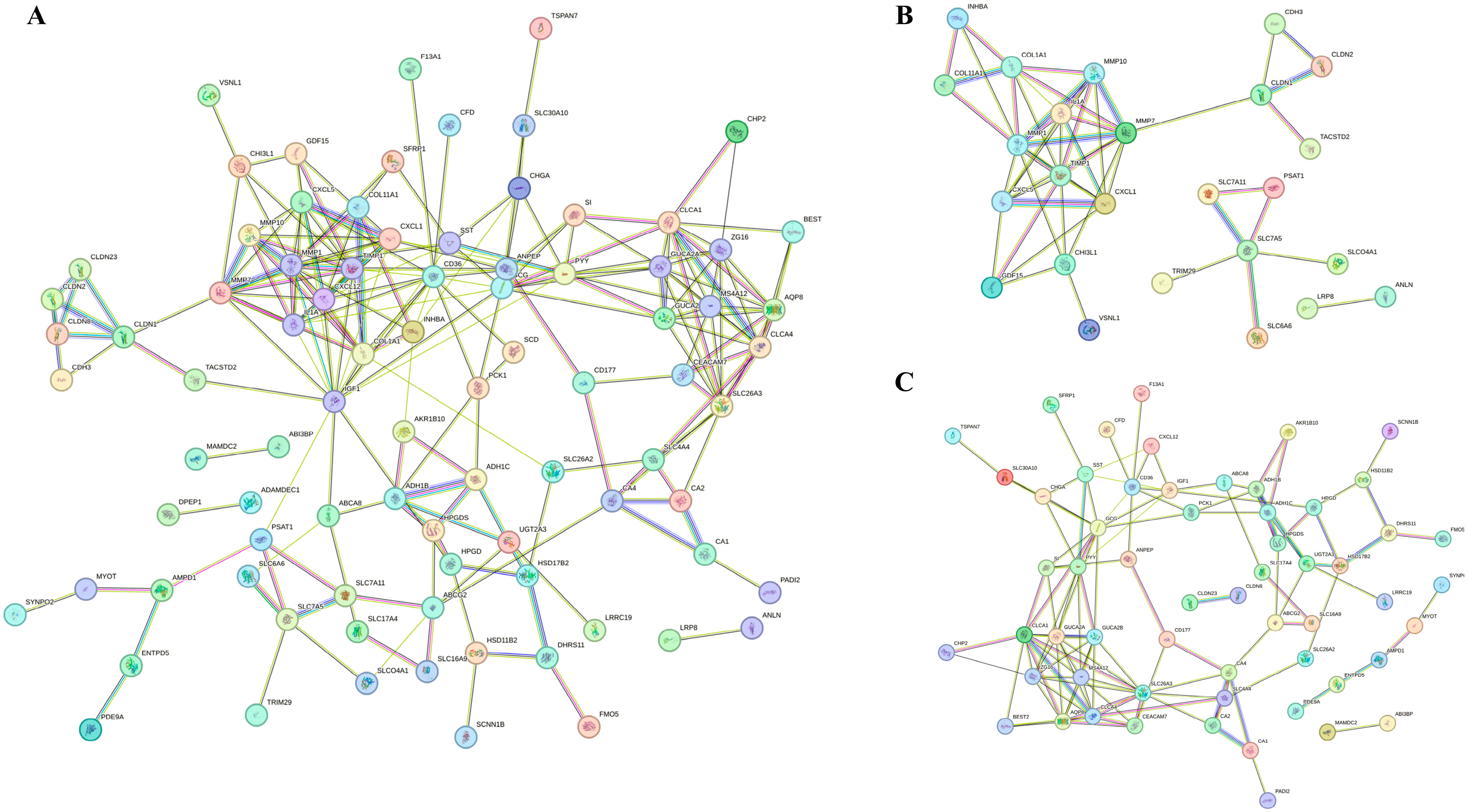Biomedicines 13 01035 g004