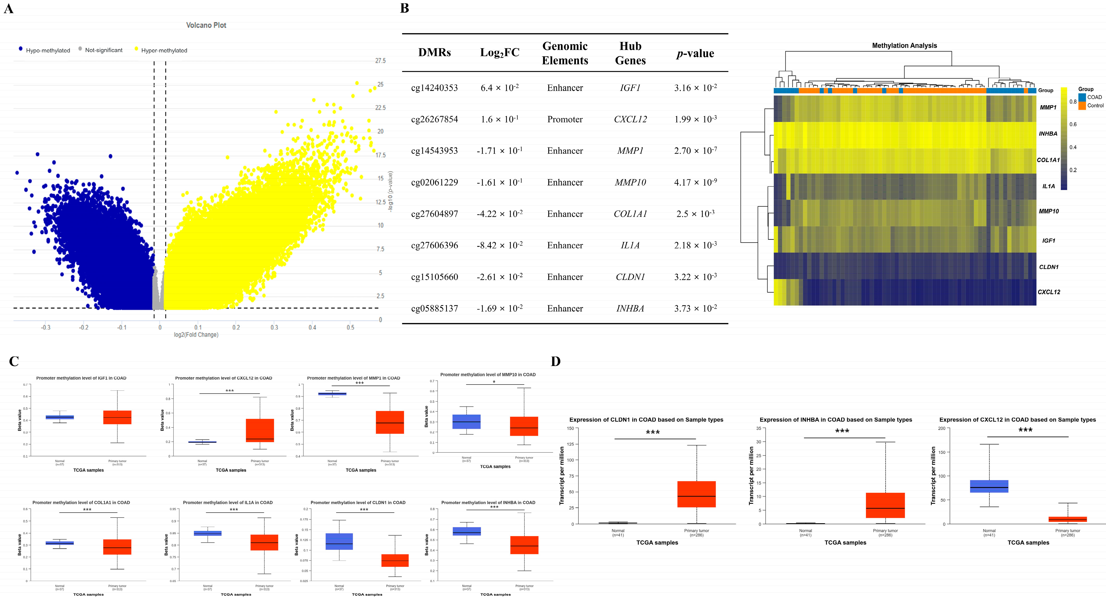 Biomedicines 13 01035 g006