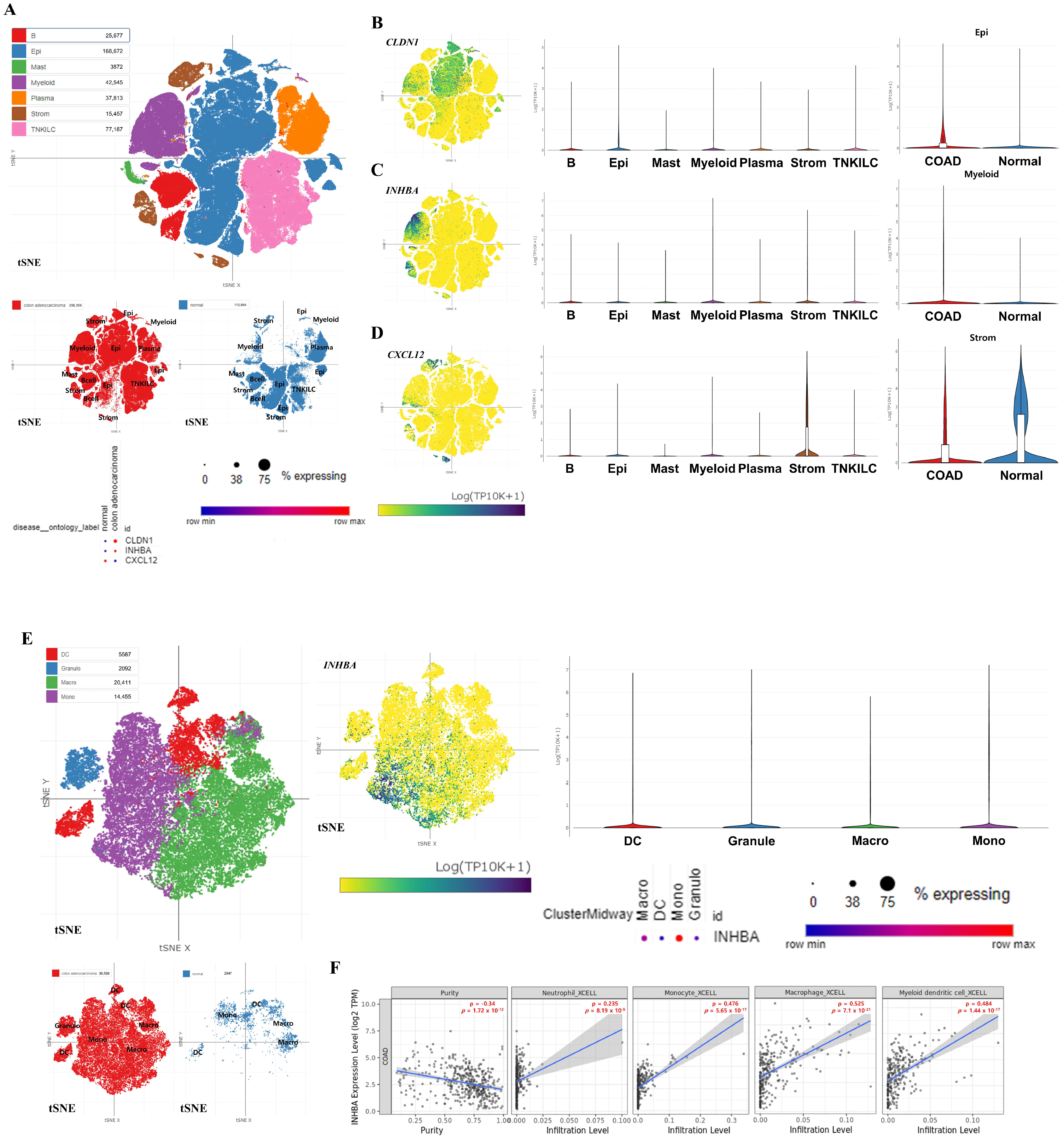 Biomedicines 13 01035 g007