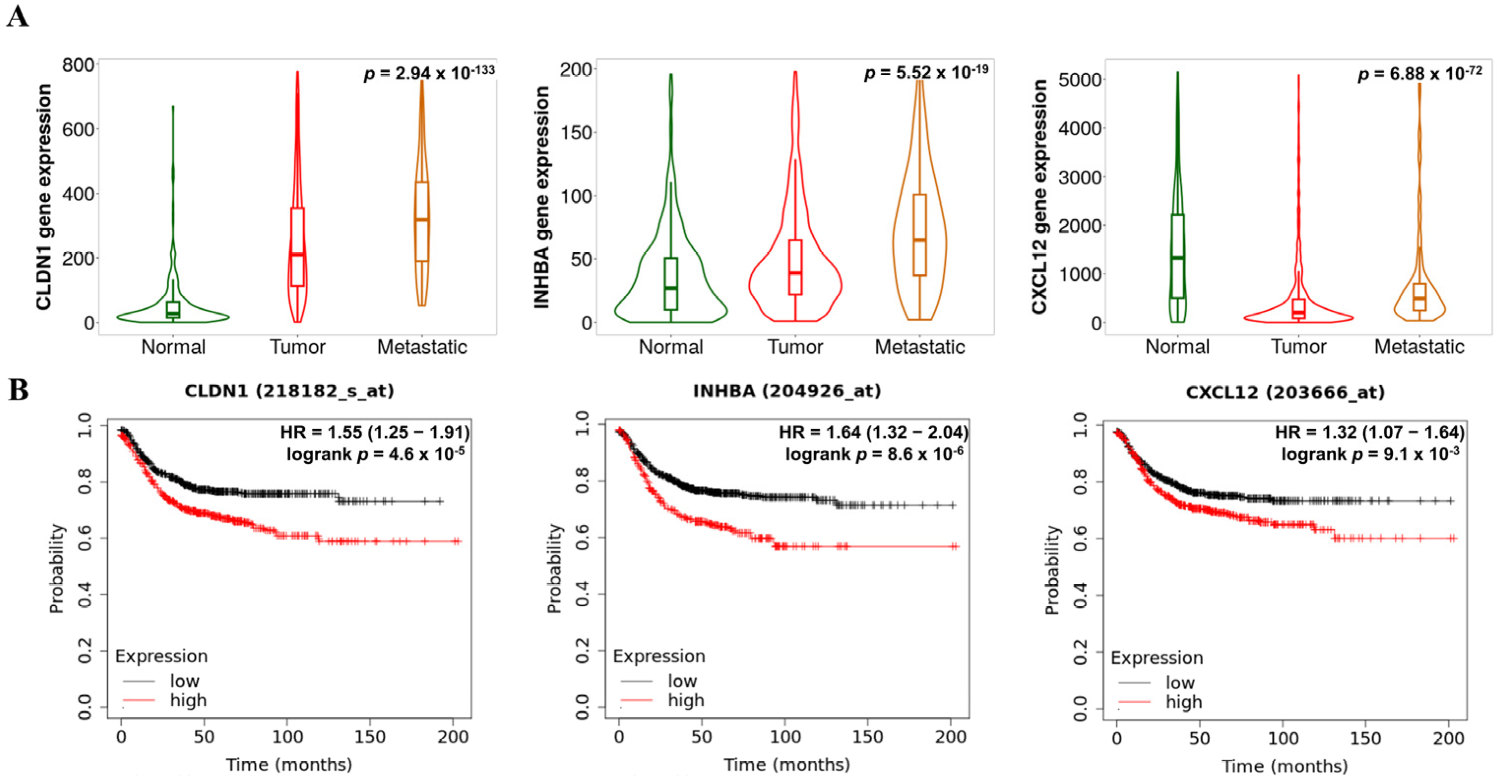 Biomedicines 13 01035 g008