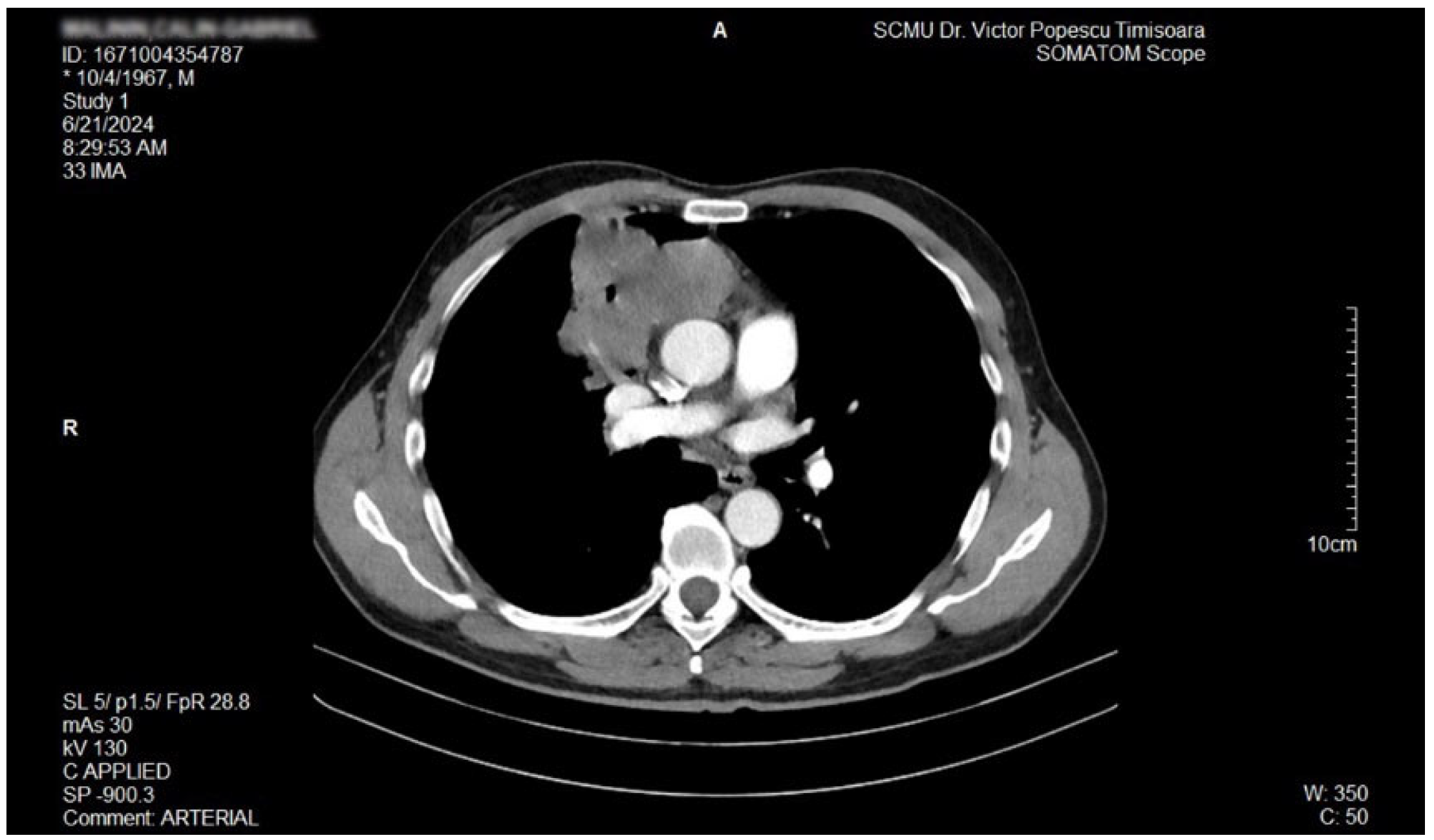Biomedicines 13 01036 g003