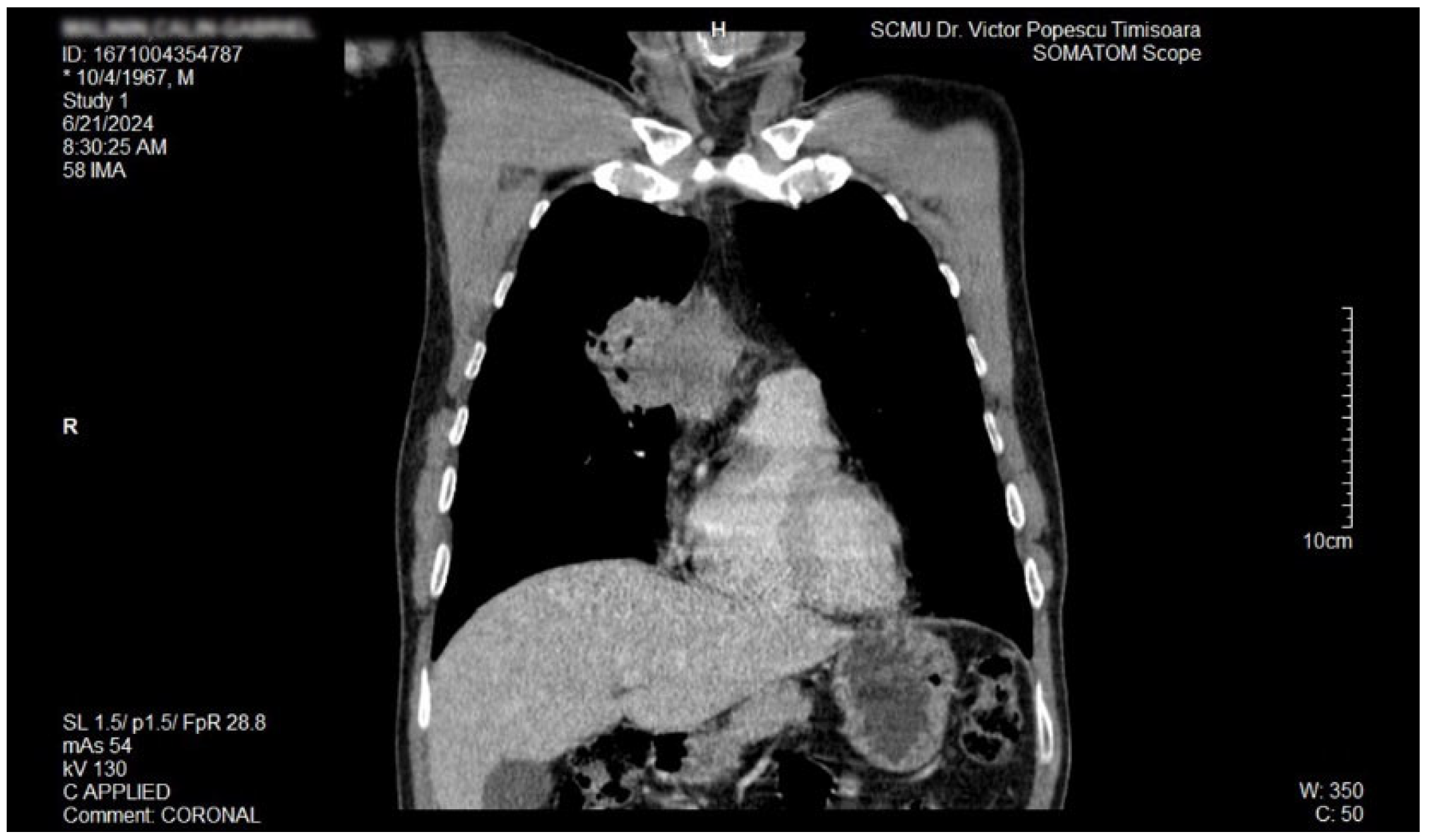 Biomedicines 13 01036 g004