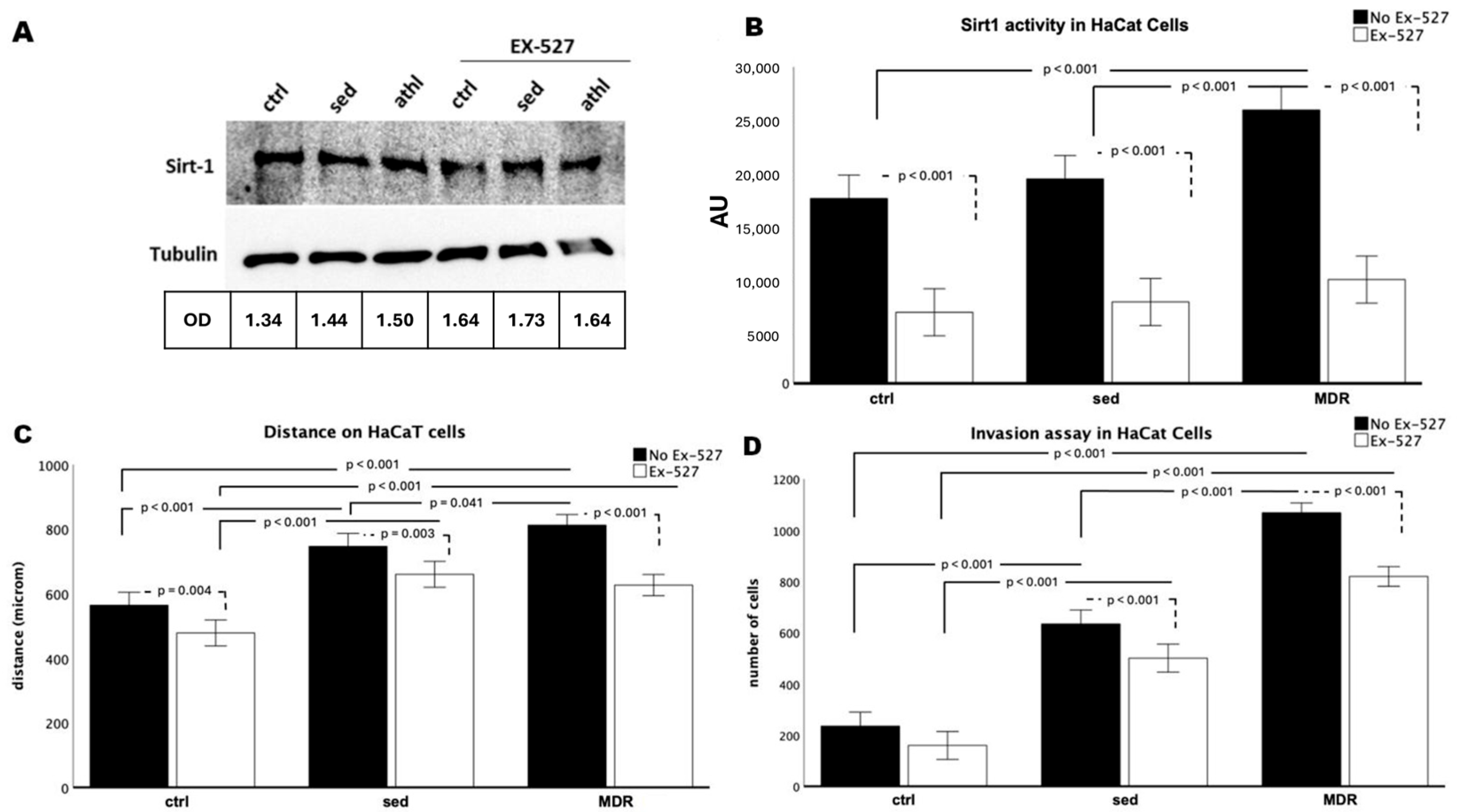Biomedicines 13 01041 g001