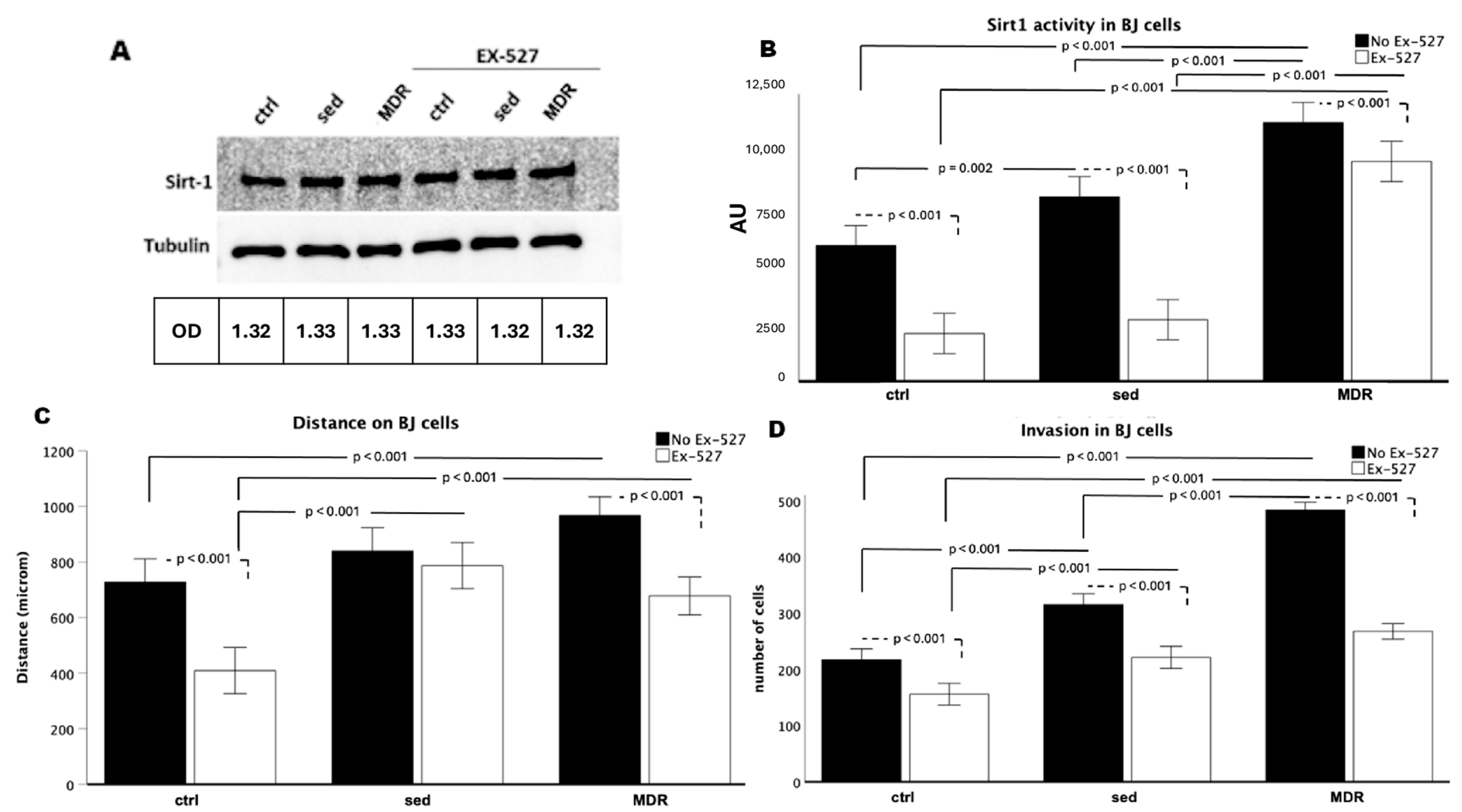Biomedicines 13 01041 g003