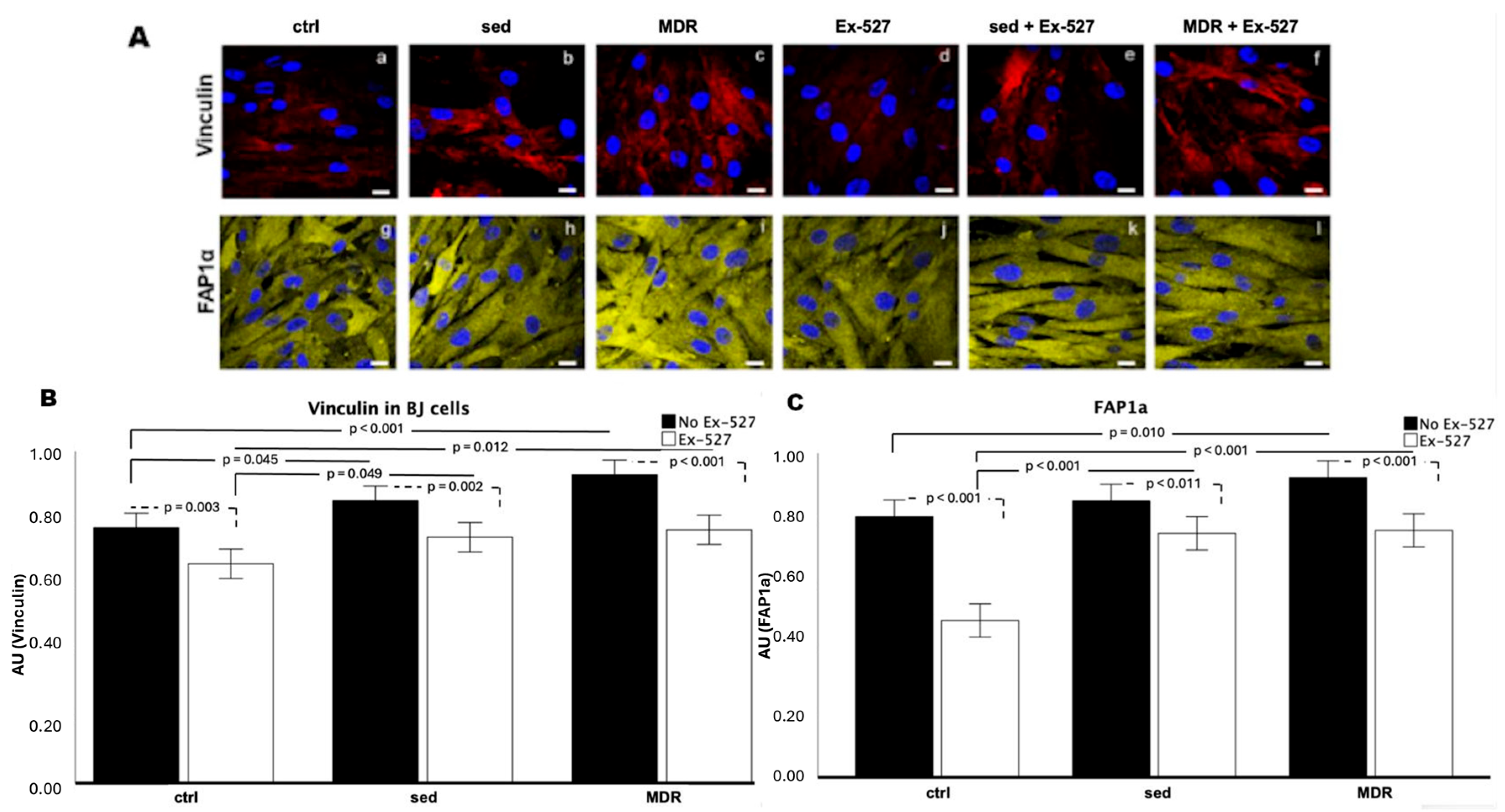 Biomedicines 13 01041 g004
