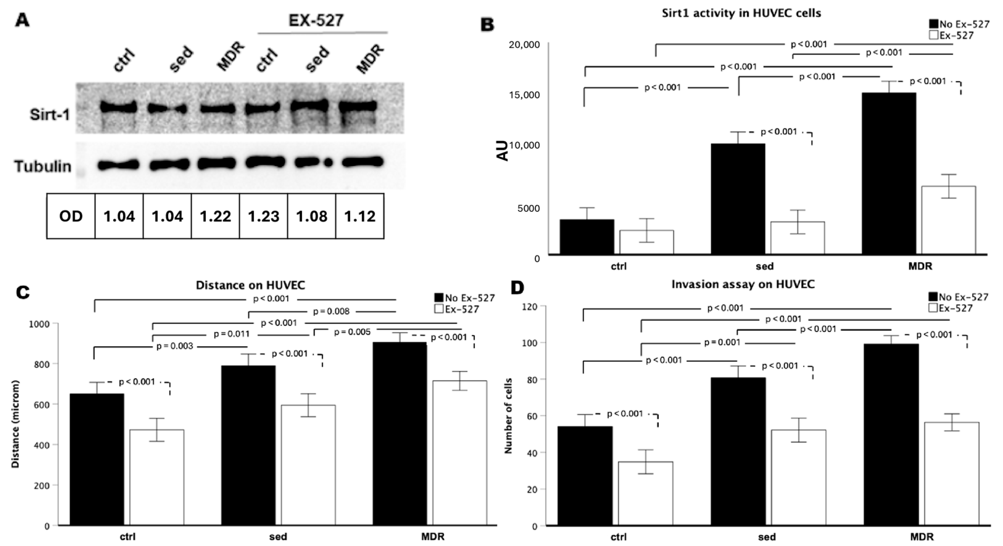 Biomedicines 13 01041 g005