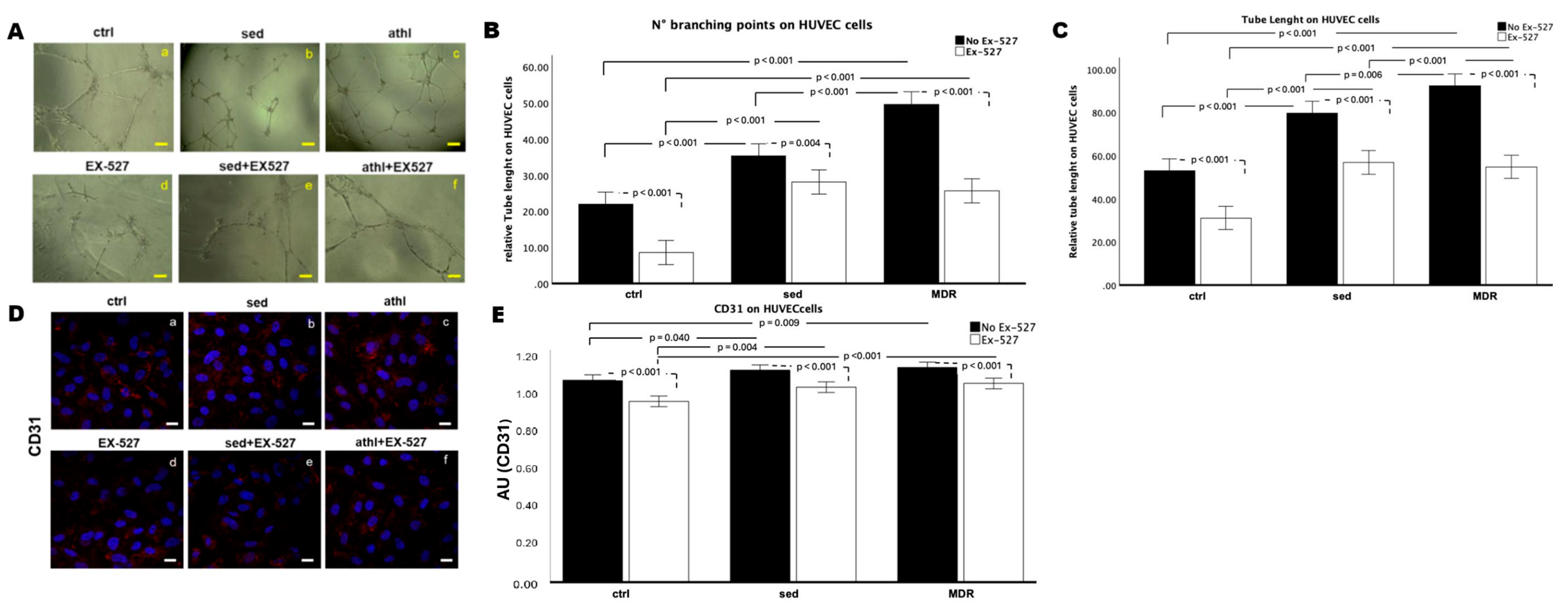 Biomedicines 13 01041 g006