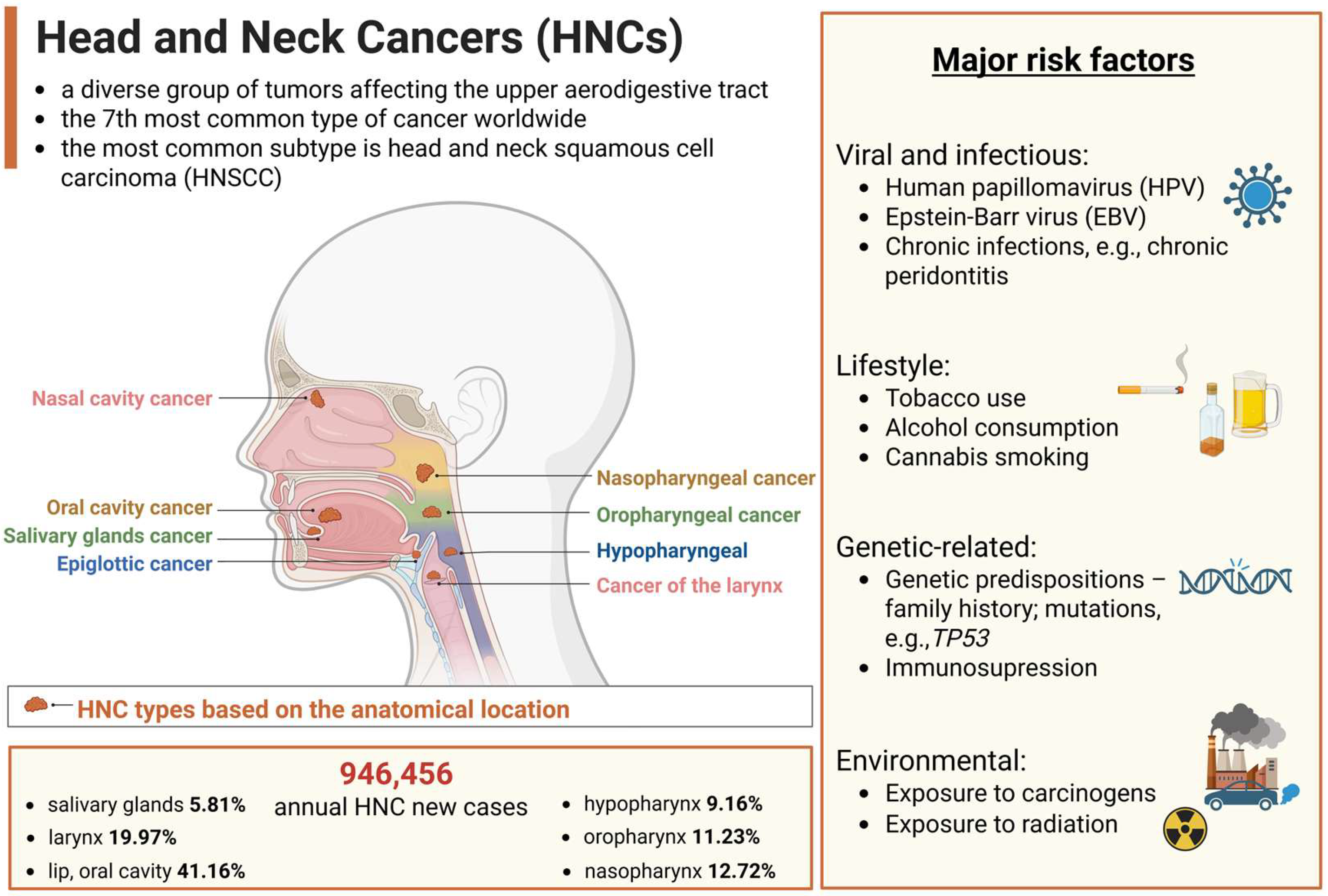 Biomedicines 13 01046 g001