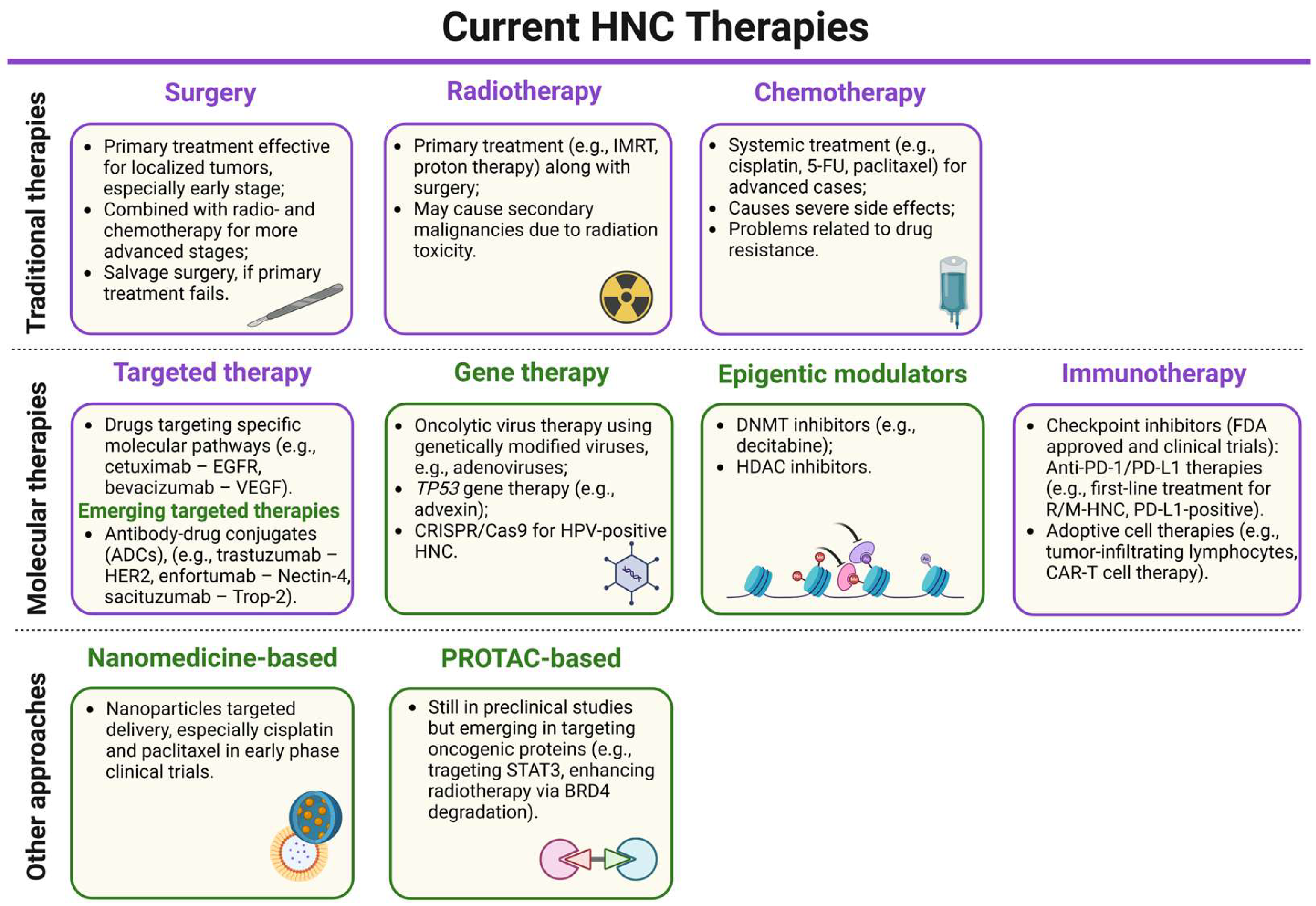 Biomedicines 13 01046 g002