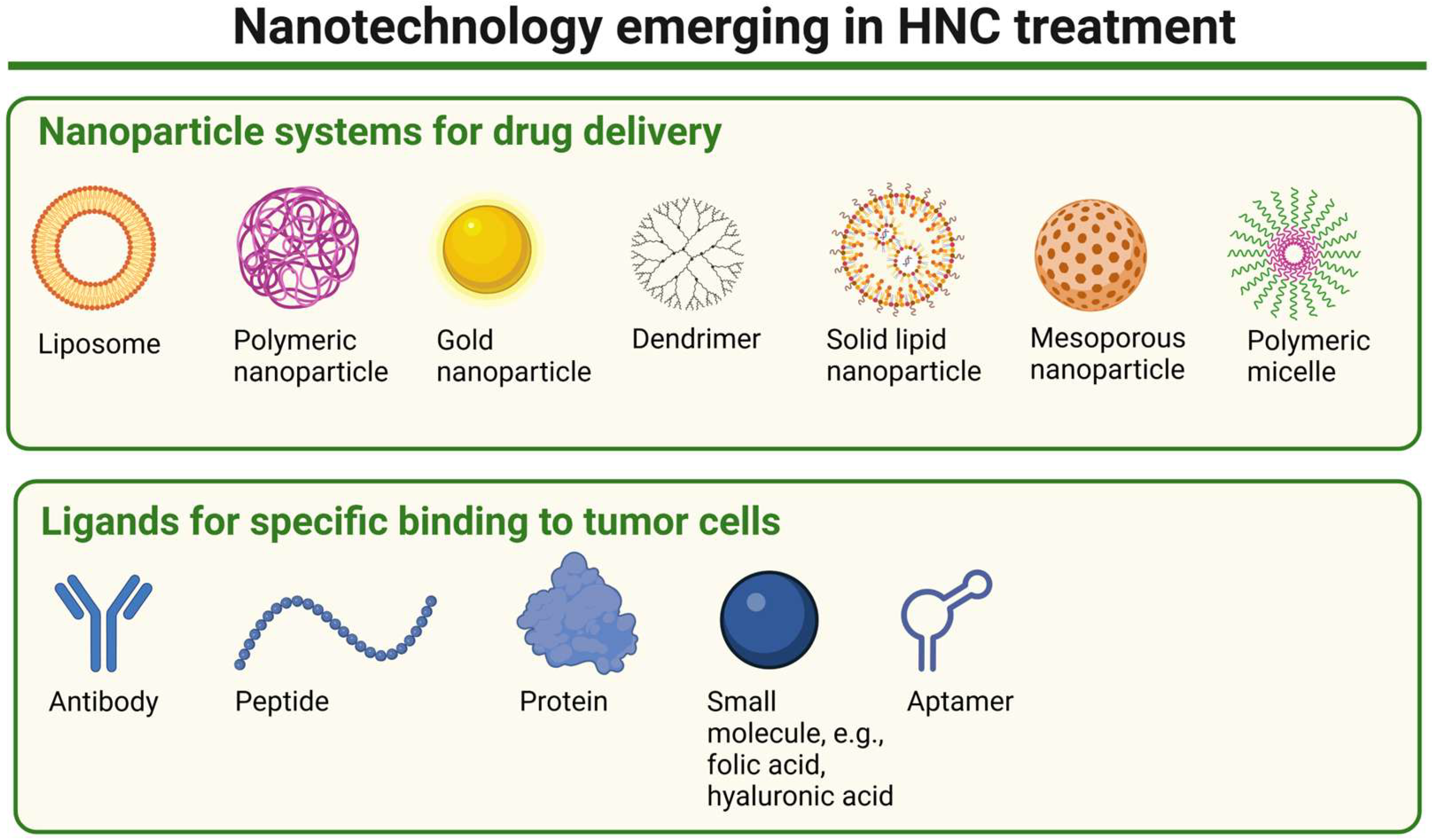Biomedicines 13 01046 g005