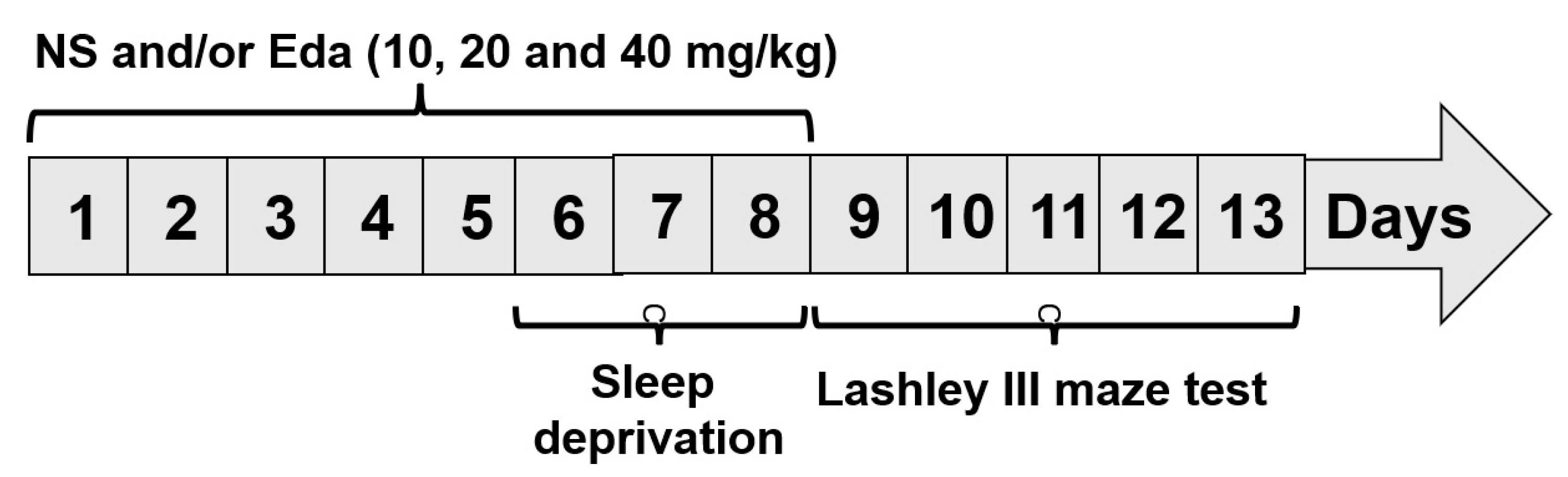 Biomedicines 13 01047 g001
