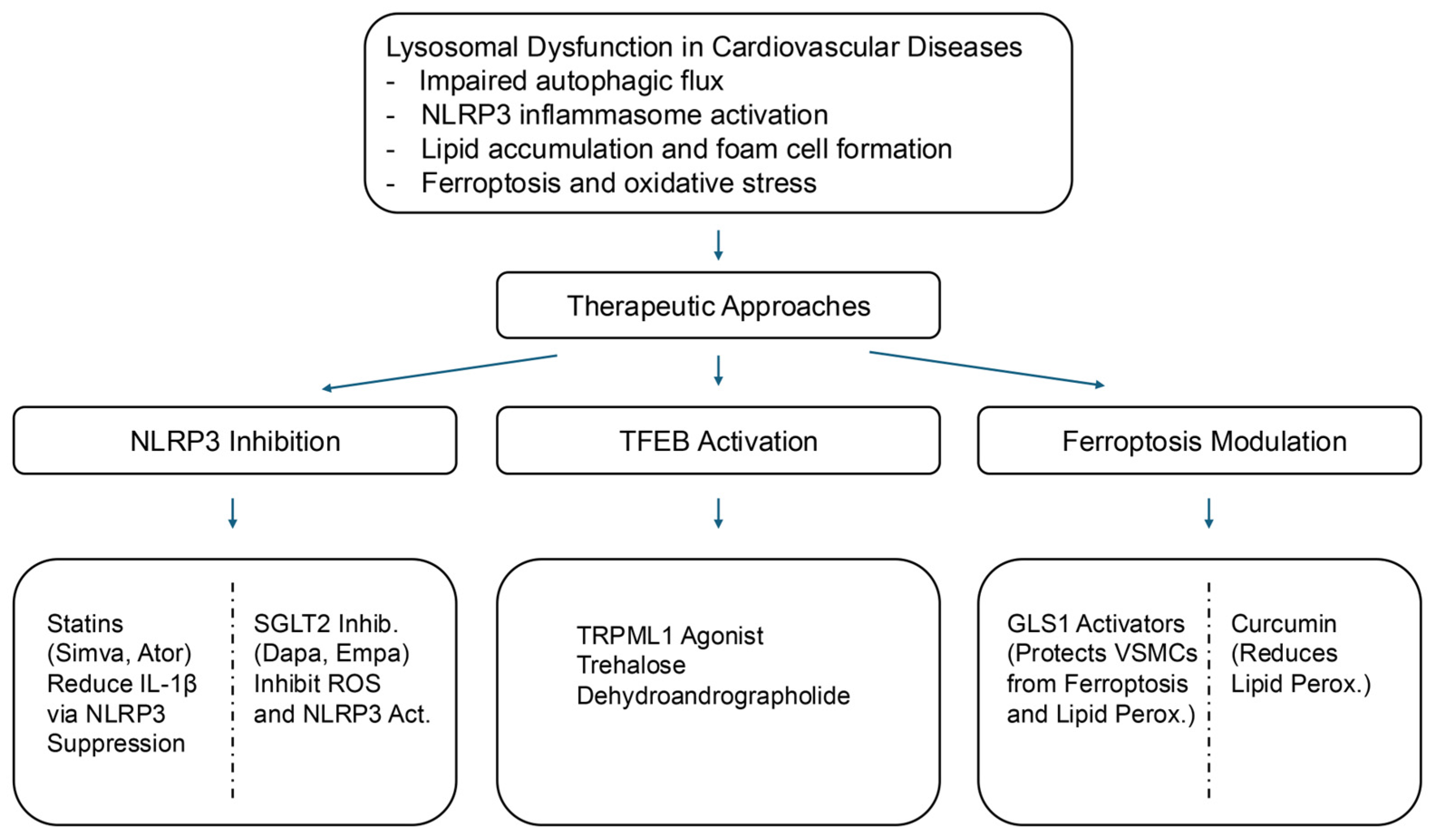 Biomedicines 13 01053 g002