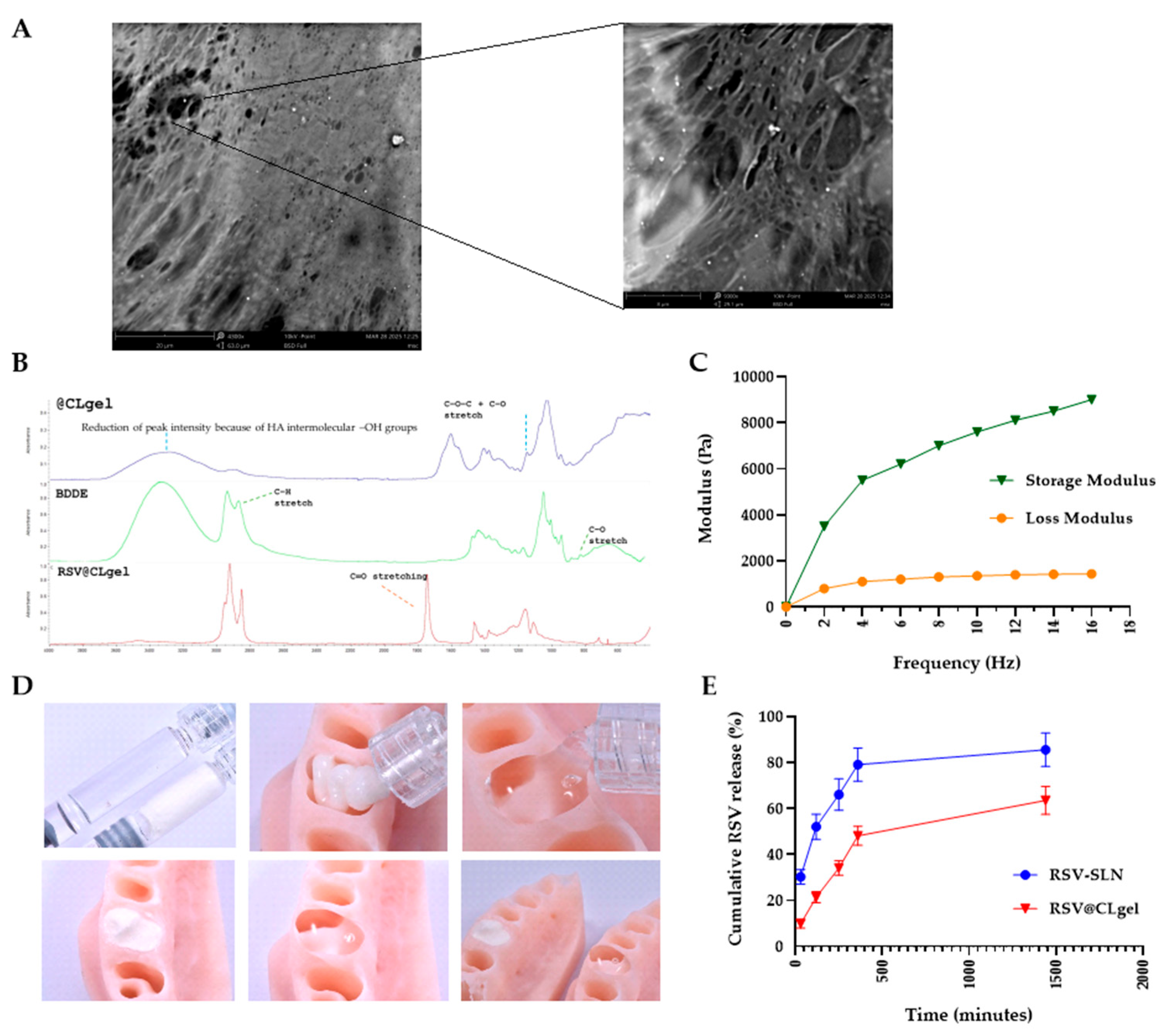 Biomedicines 13 01059 g002