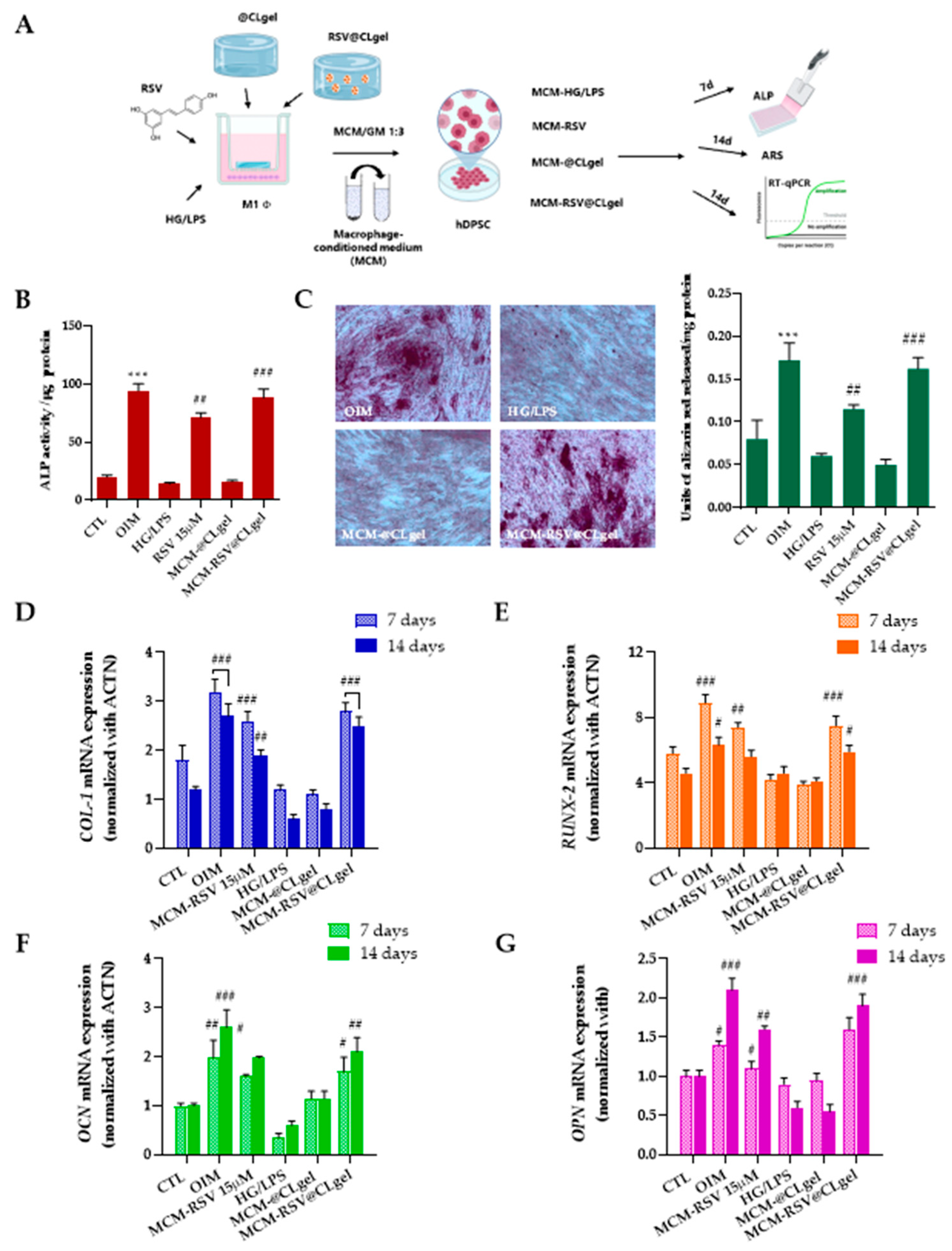 Biomedicines 13 01059 g005
