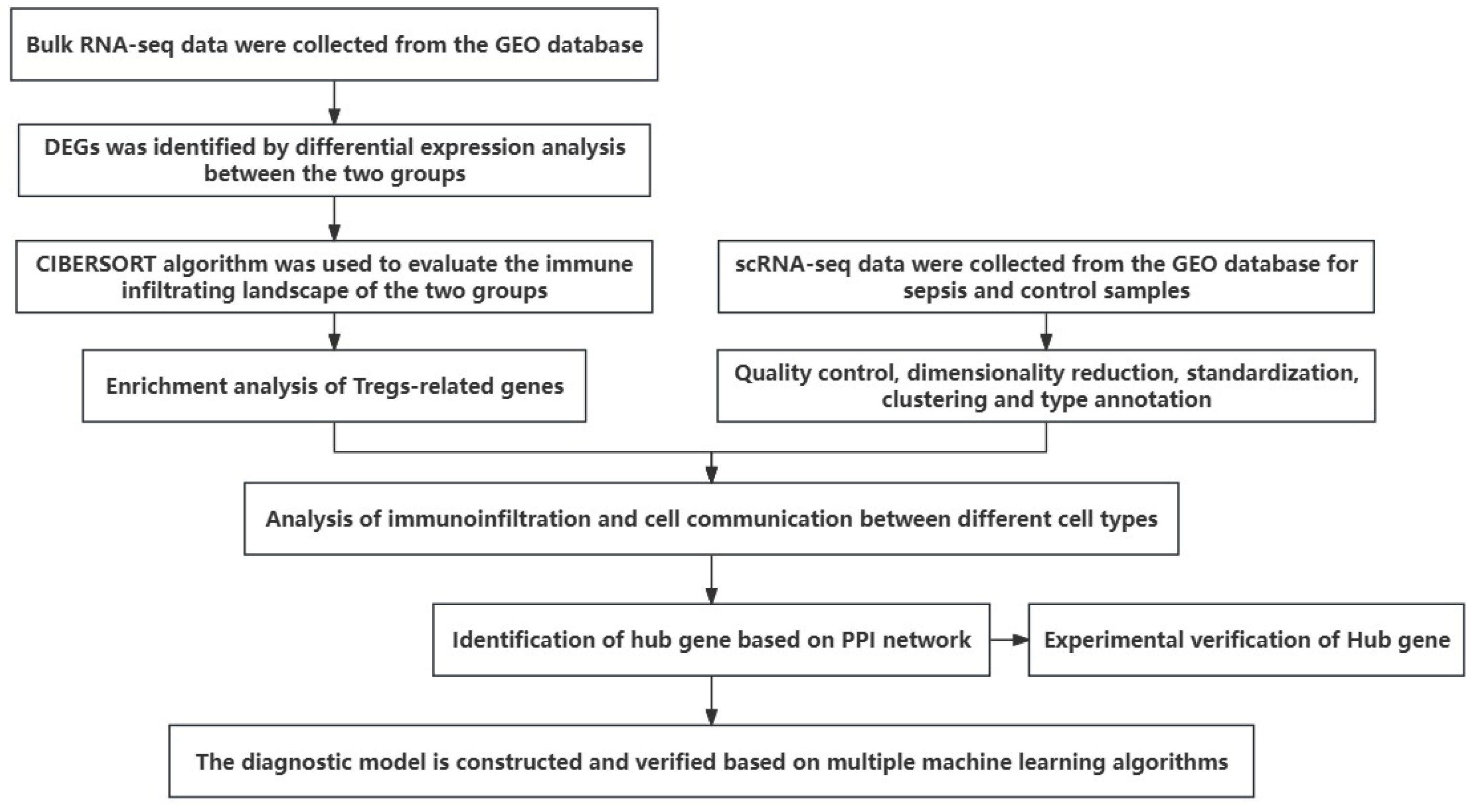 Biomedicines 13 01060 g001