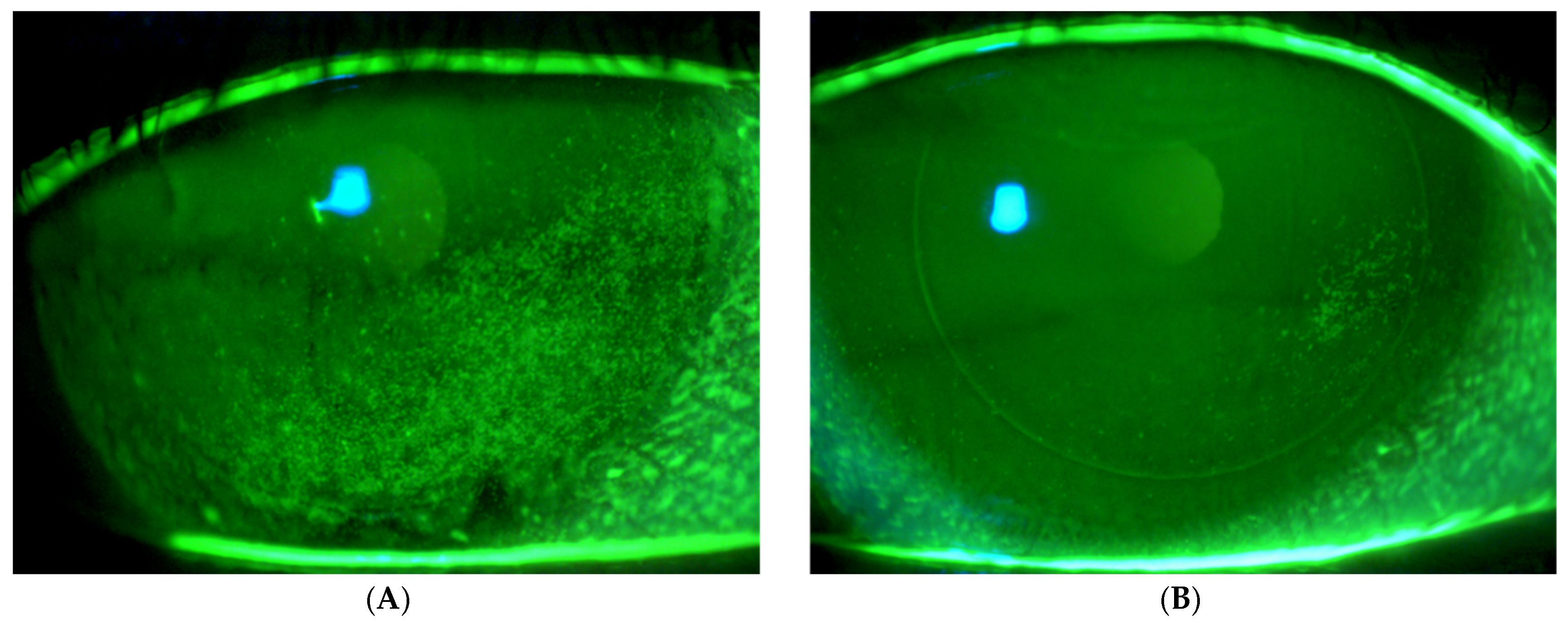 Biomedicines 13 01064 g002
