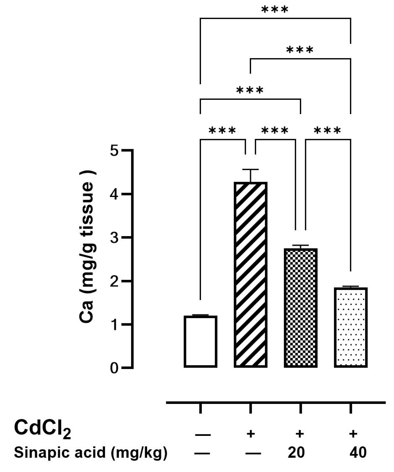 Biomedicines 13 01065 g003