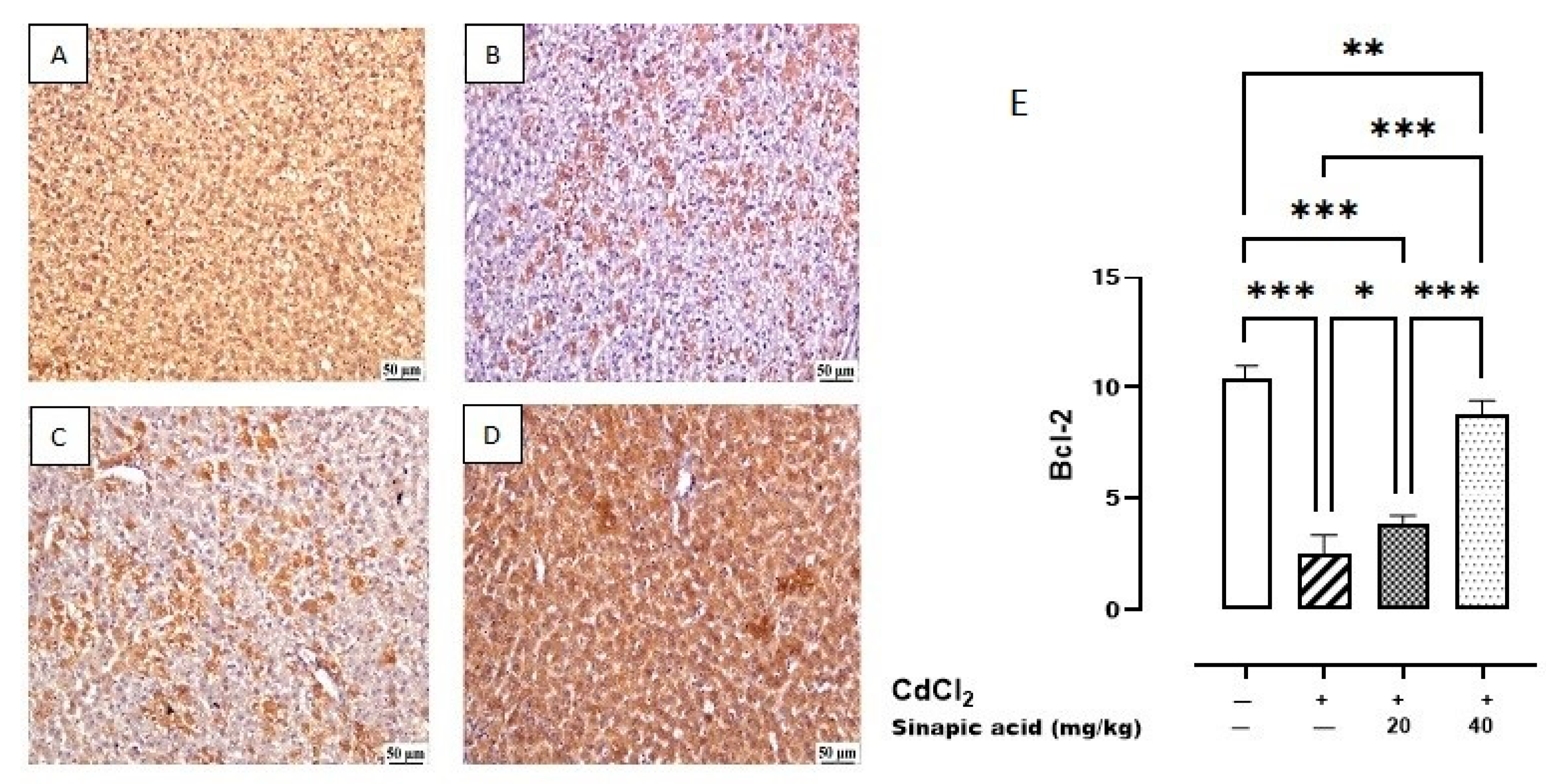 Biomedicines 13 01065 g008