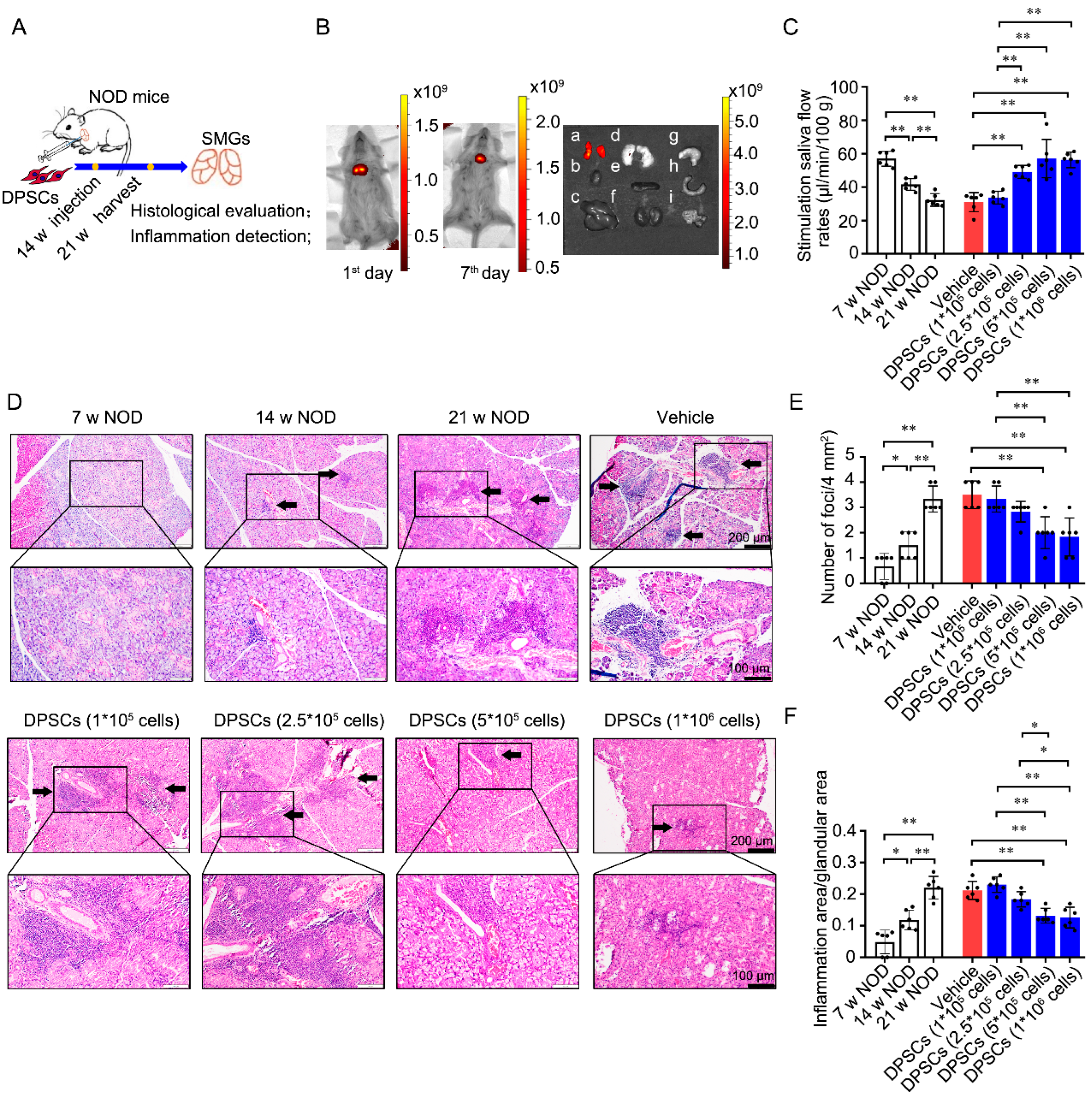 Biomedicines 13 01068 g001