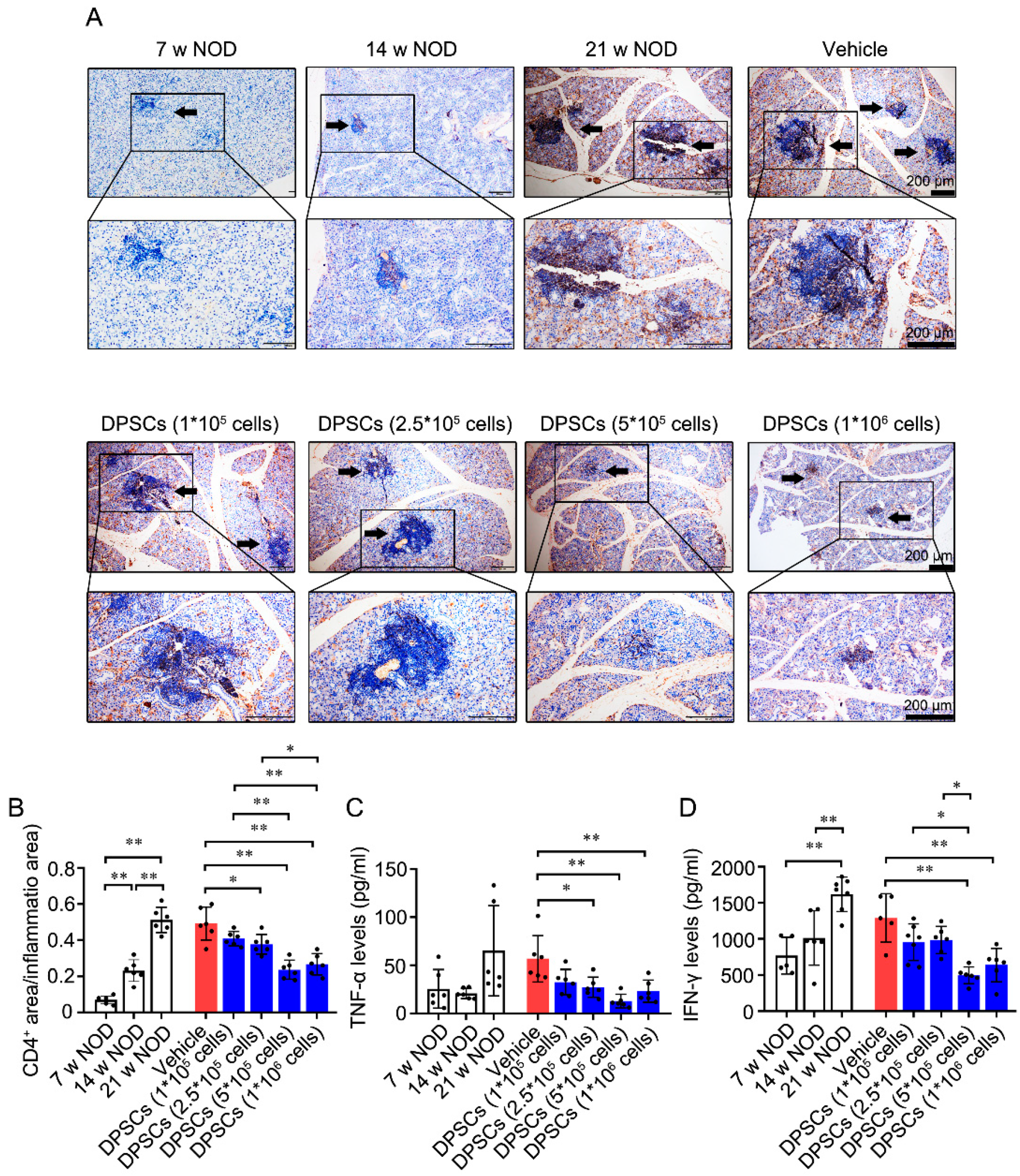 Biomedicines 13 01068 g002