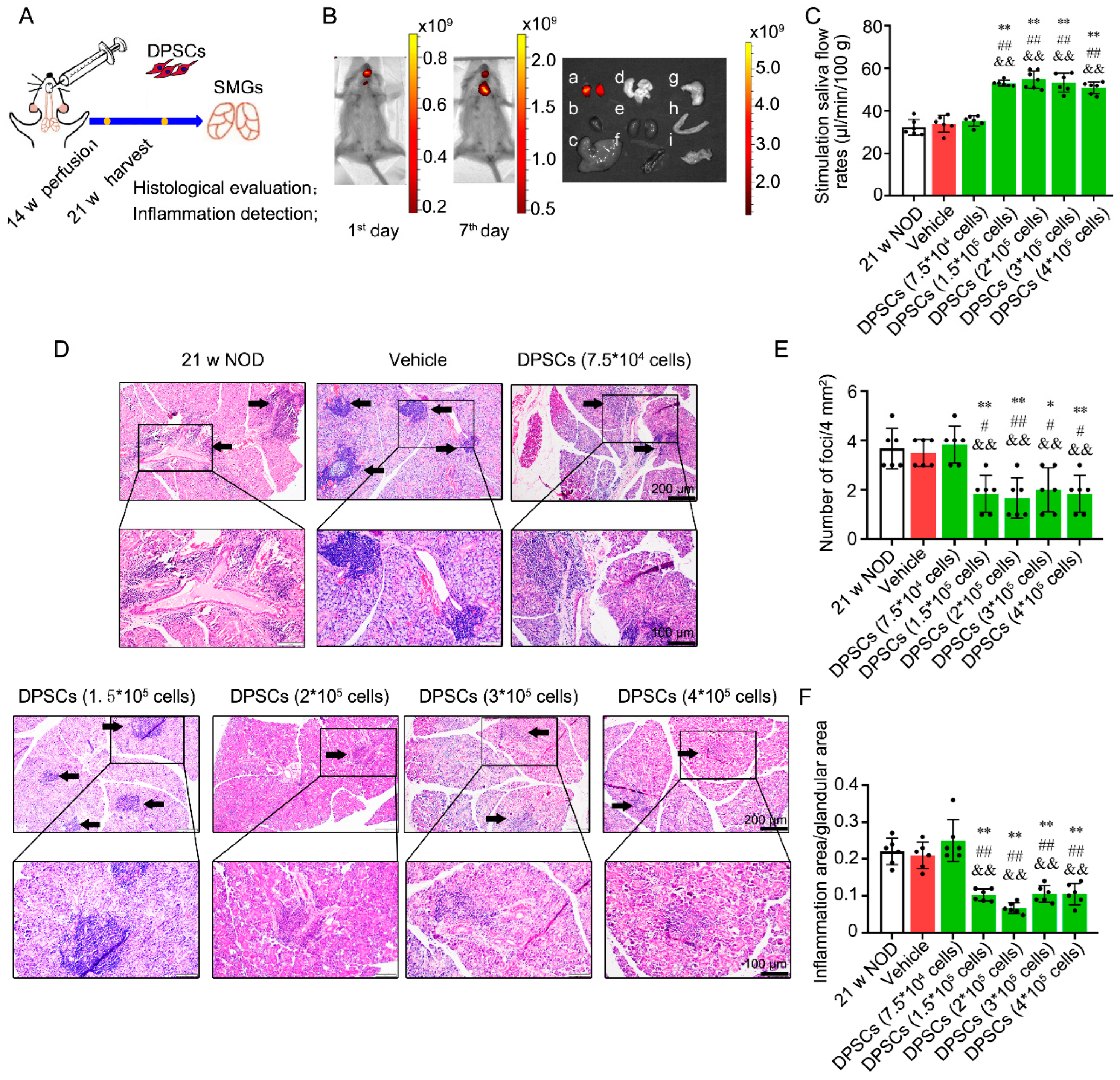Biomedicines 13 01068 g003
