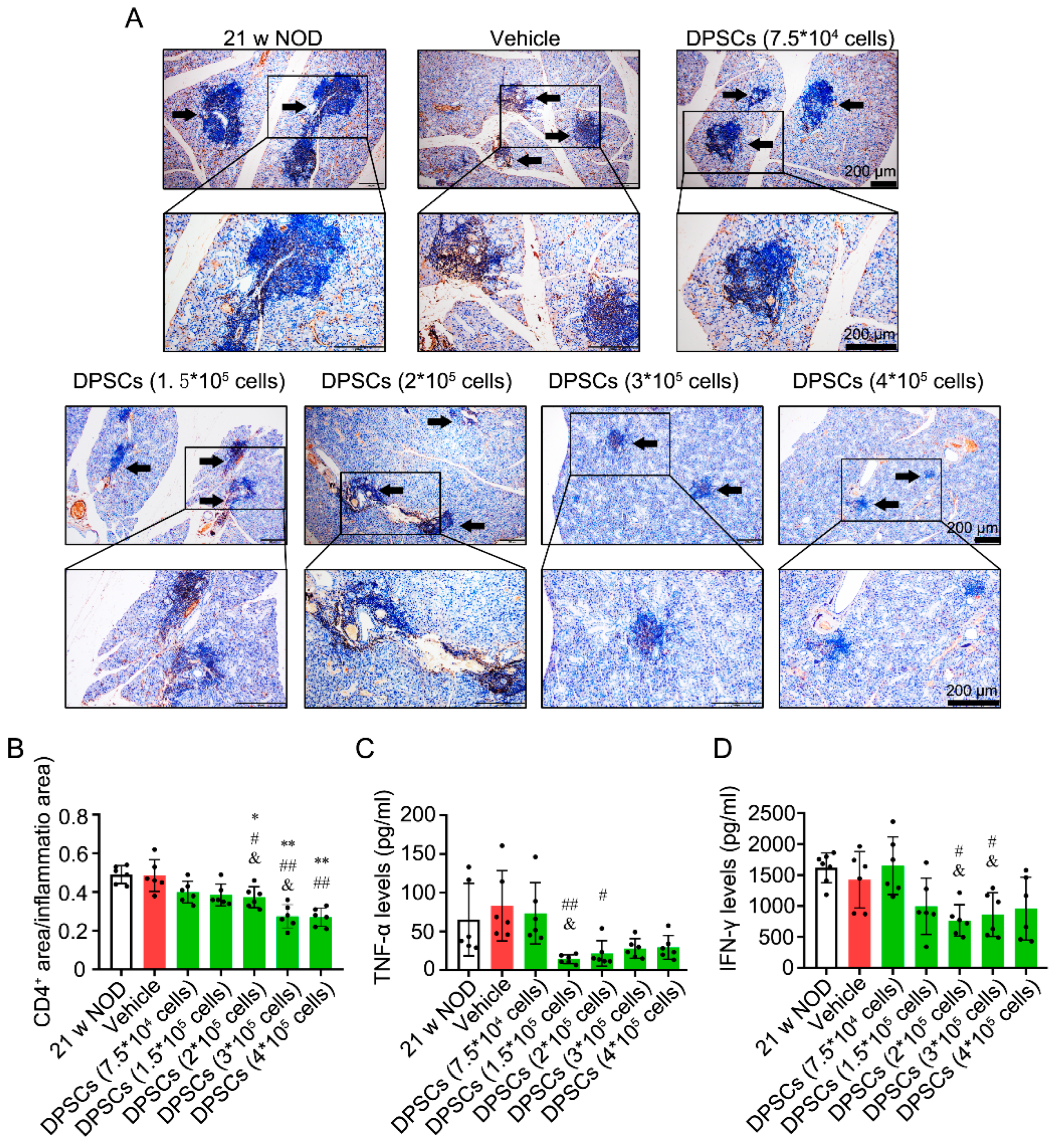 Biomedicines 13 01068 g004