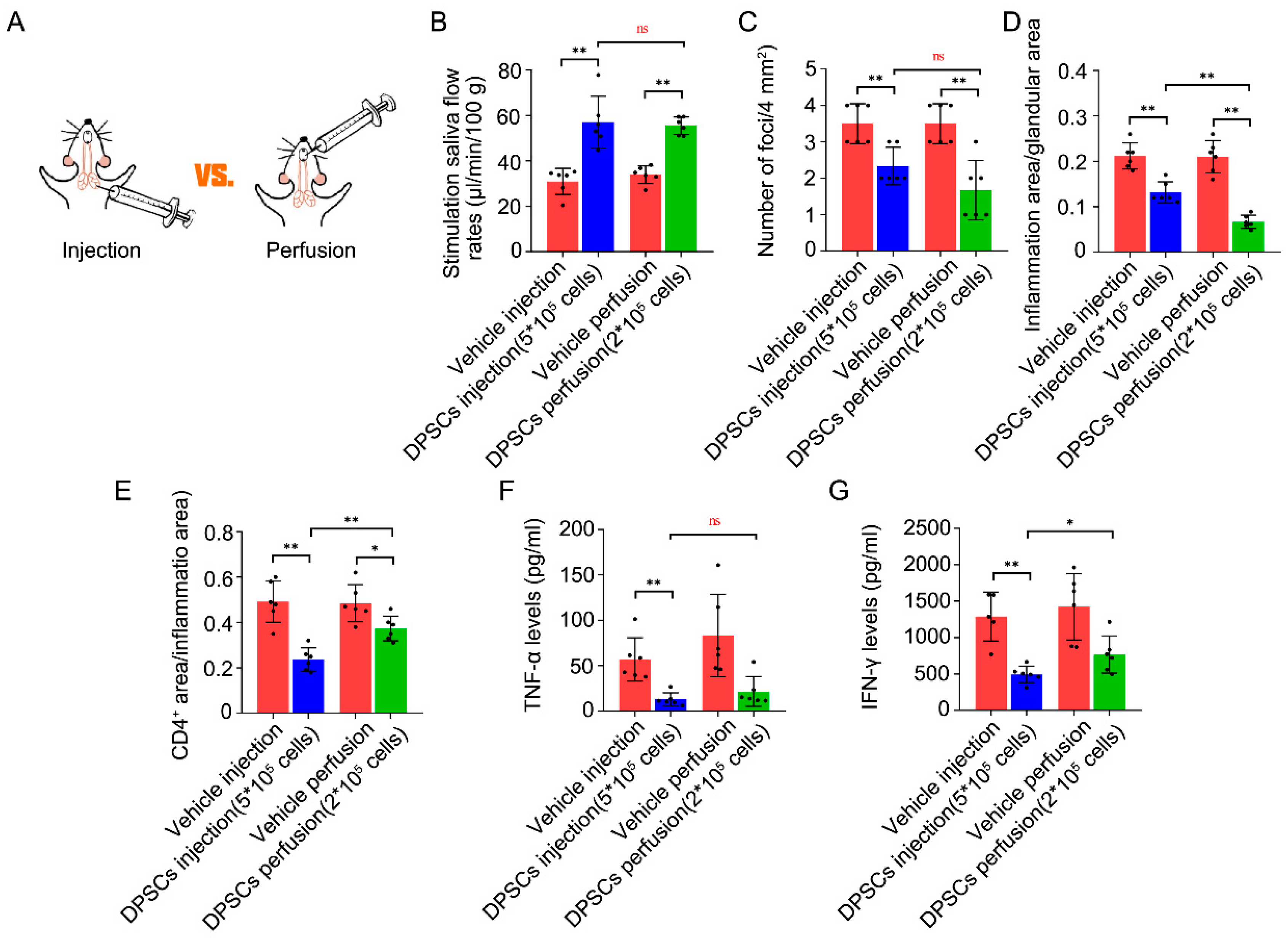 Biomedicines 13 01068 g005