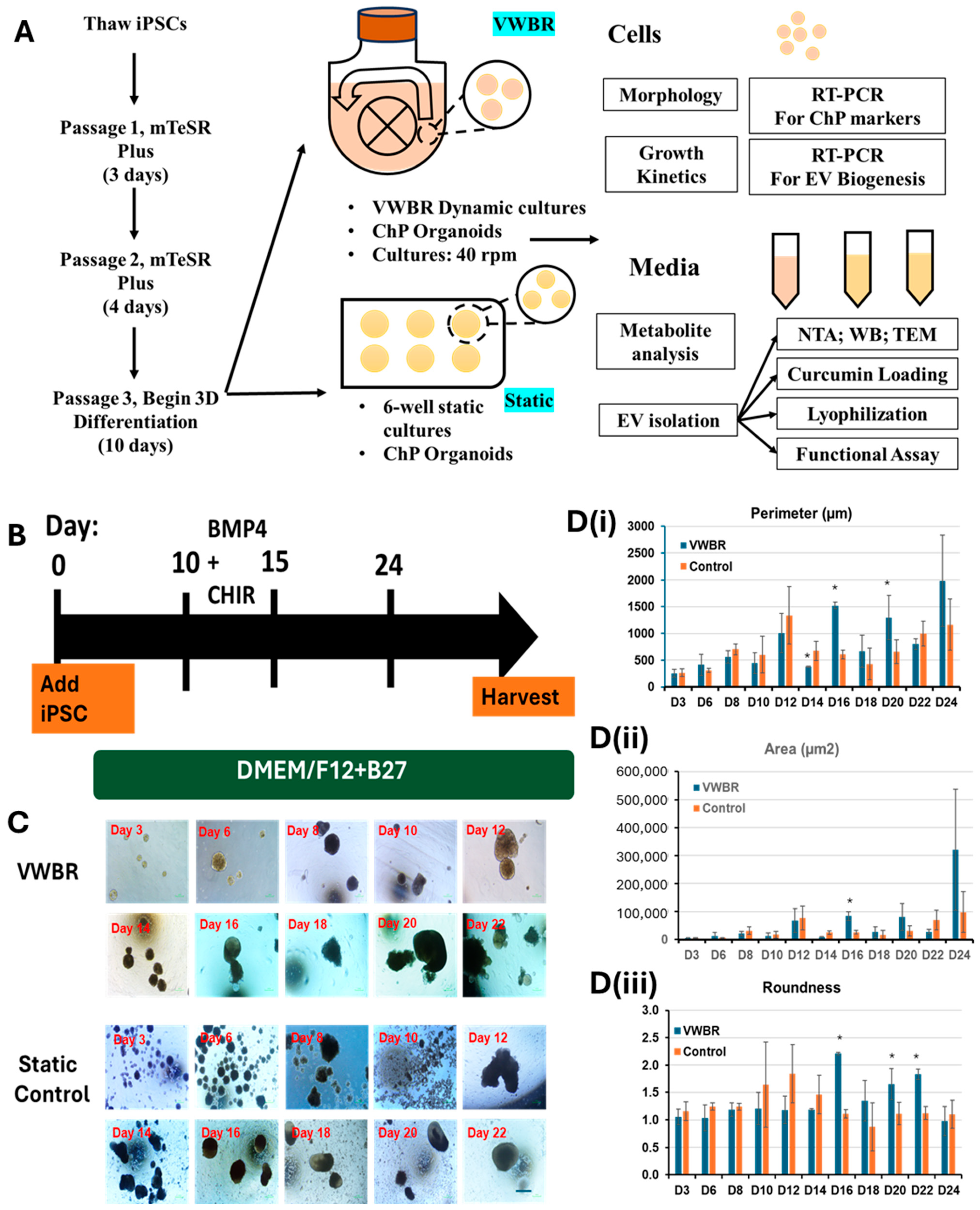 Biomedicines 13 01069 g001