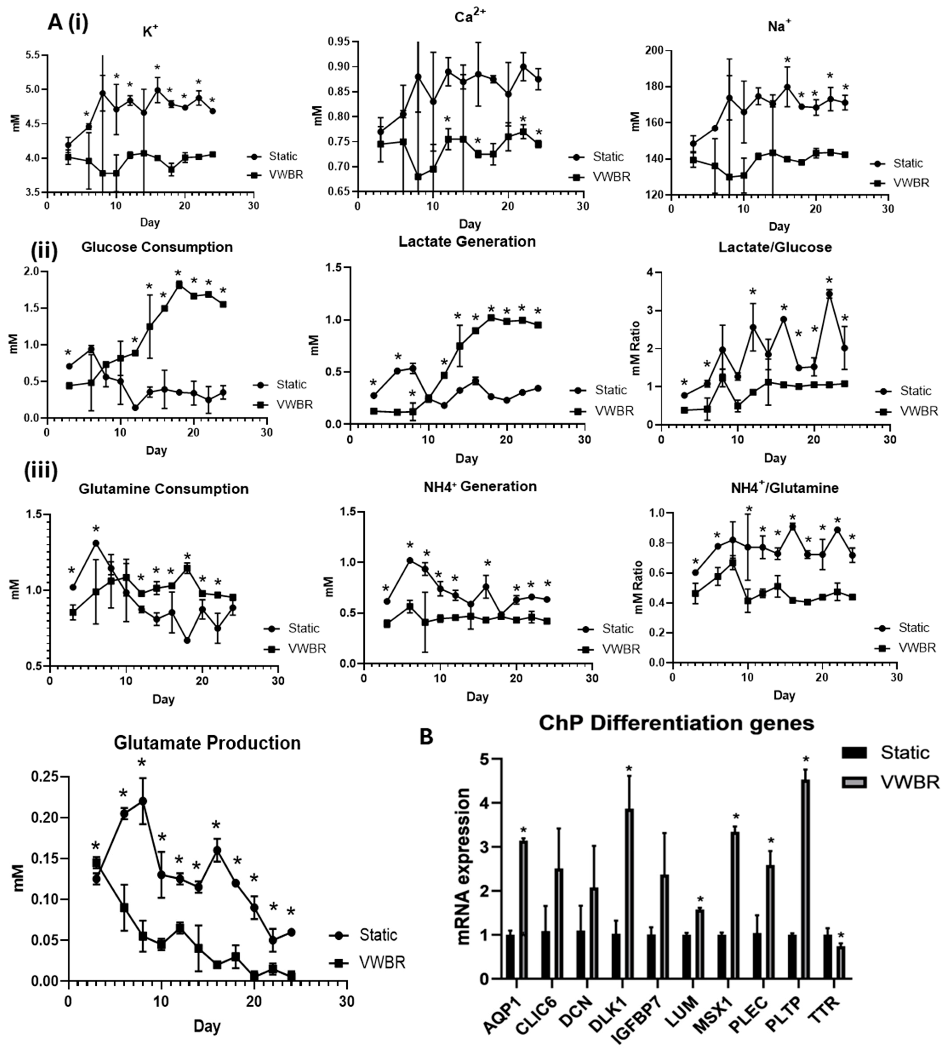 Biomedicines 13 01069 g002