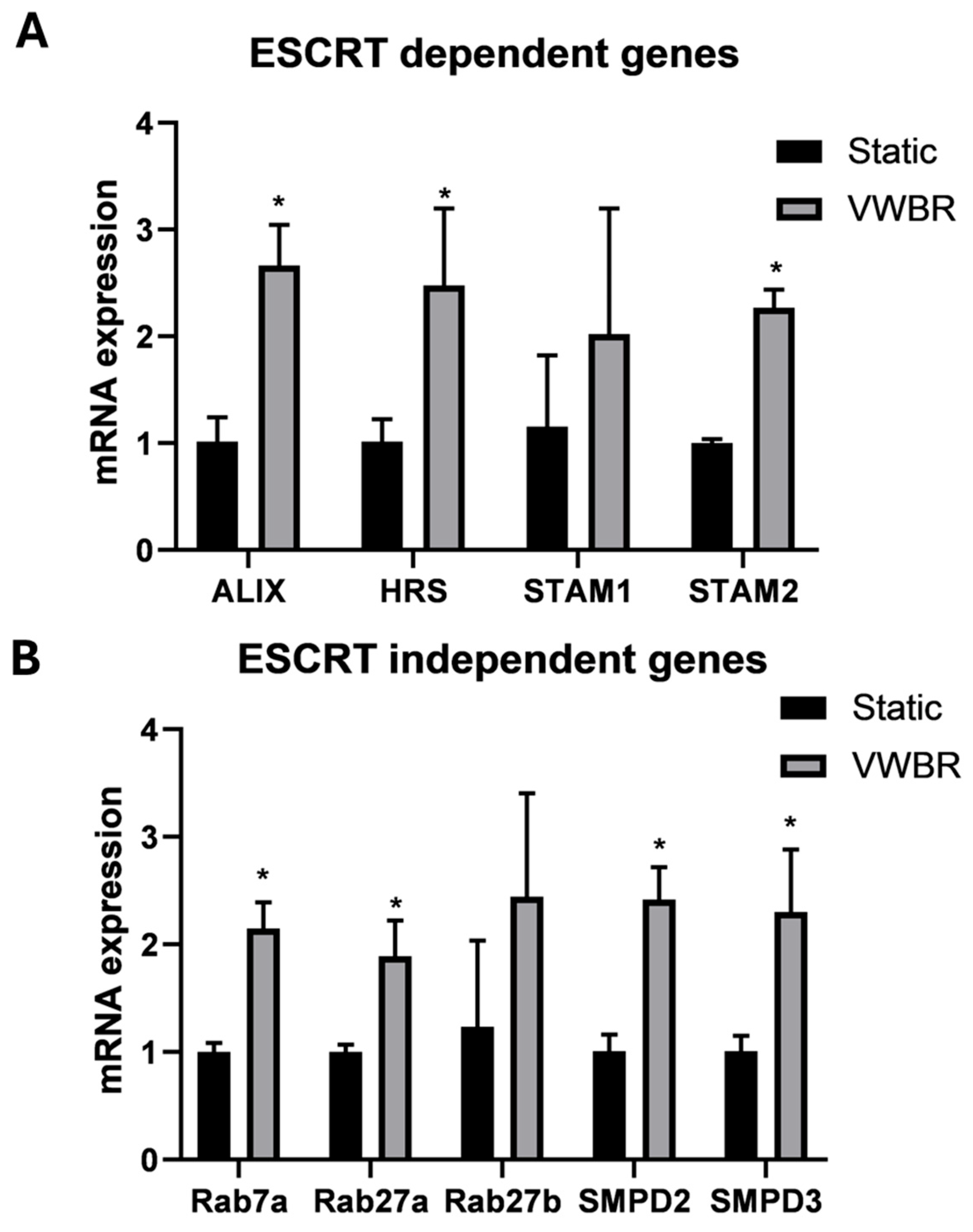 Biomedicines 13 01069 g003