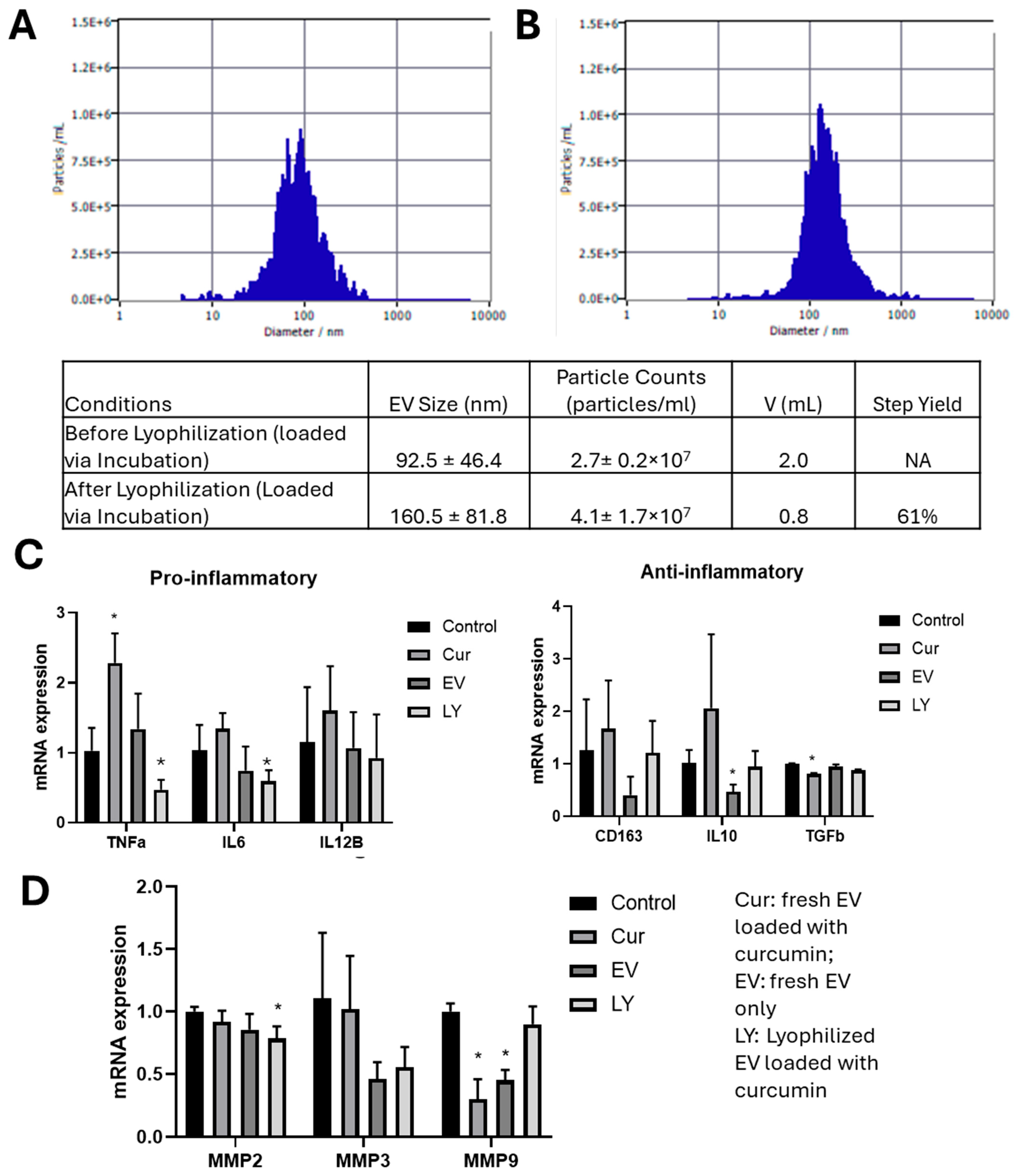 Biomedicines 13 01069 g006