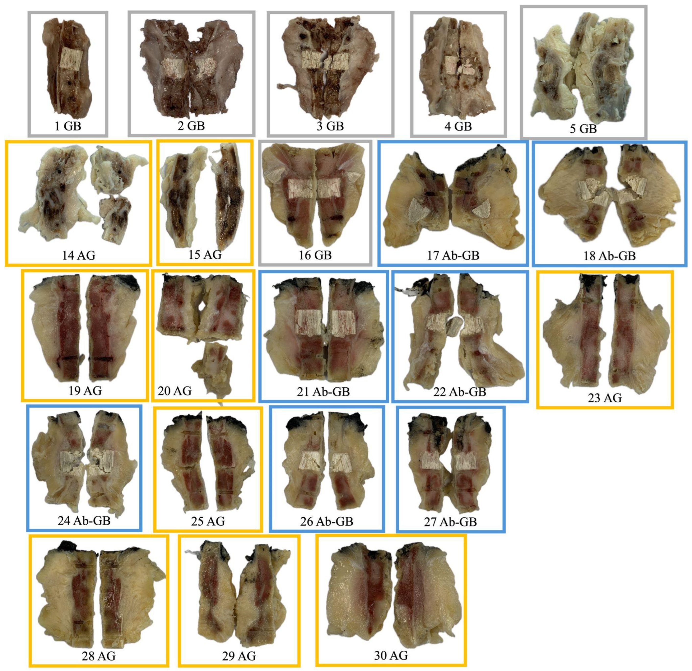 Biomedicines 13 01070 g002