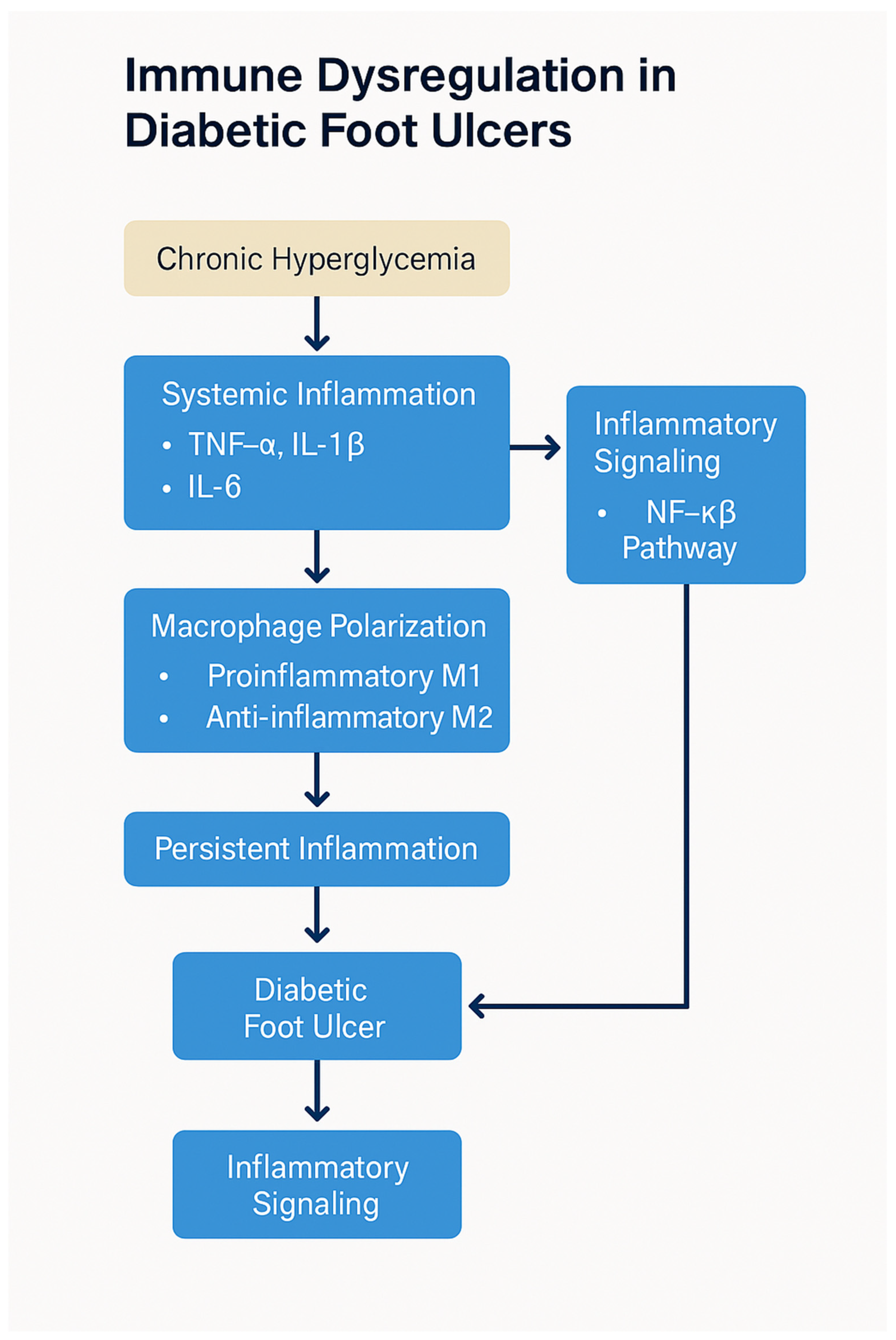 Biomedicines 13 01076 g003