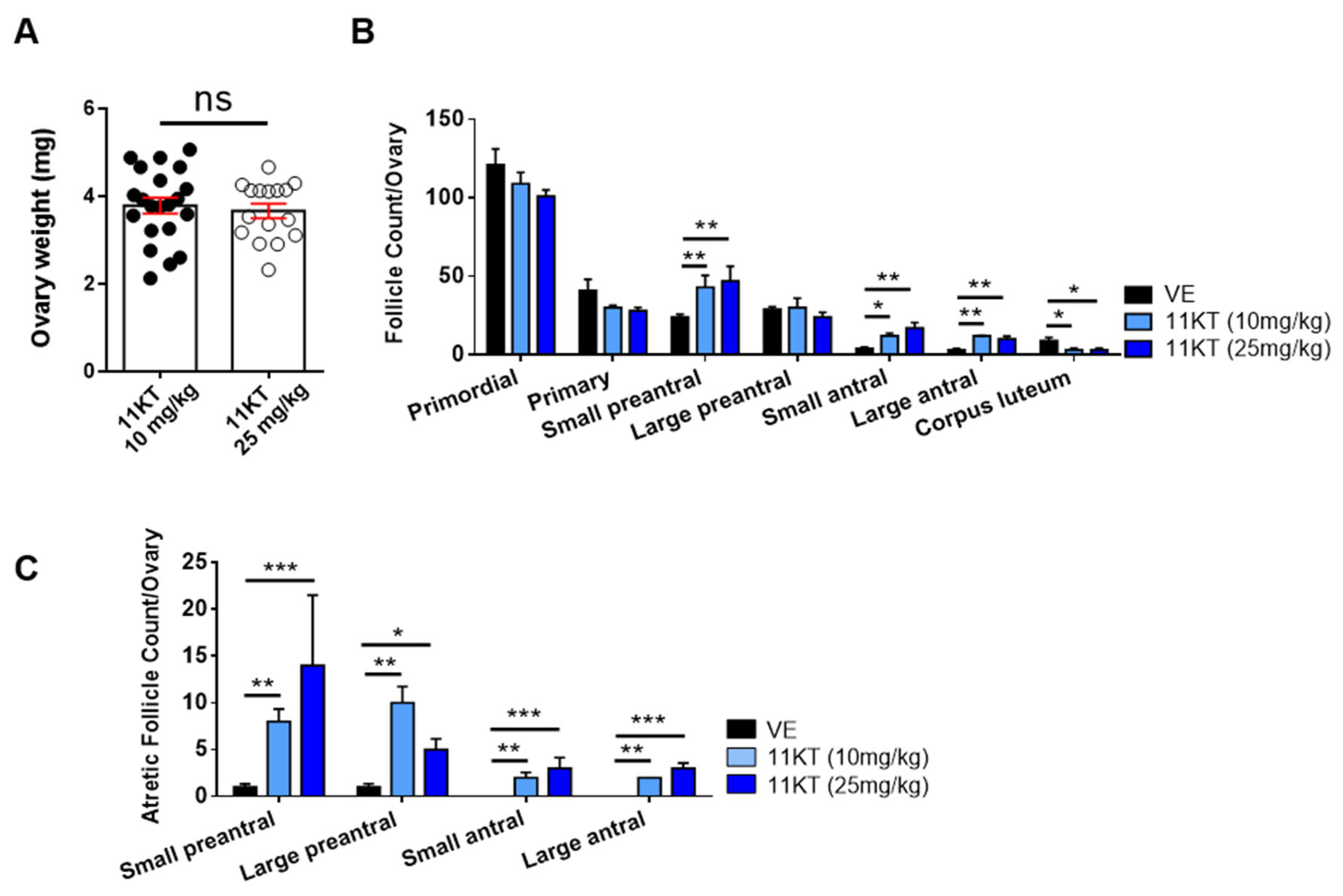 Biomedicines 13 01077 g002