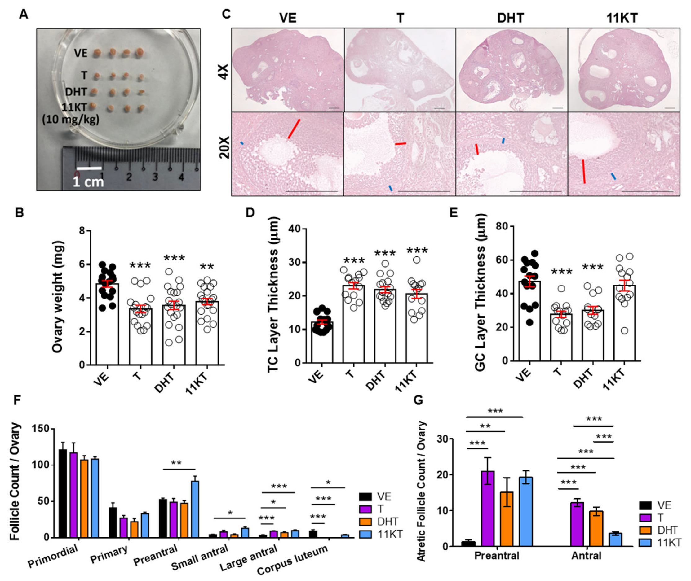 Biomedicines 13 01077 g003