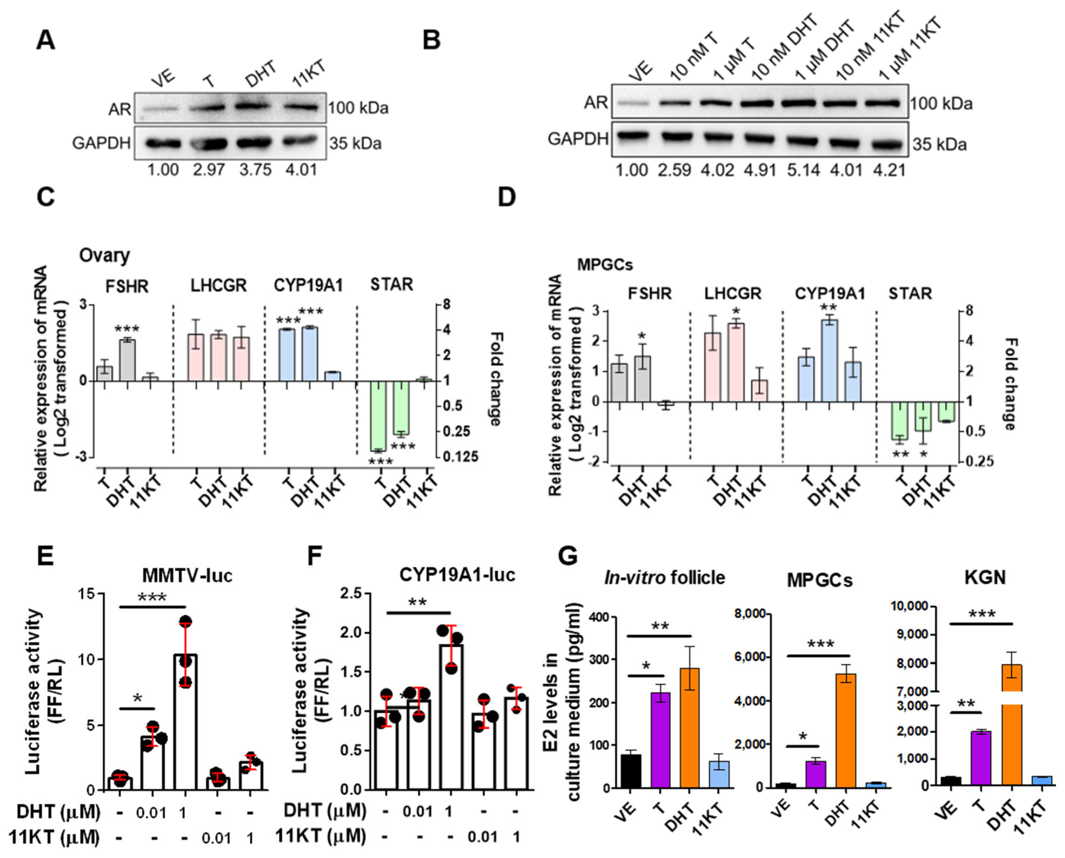 Biomedicines 13 01077 g005