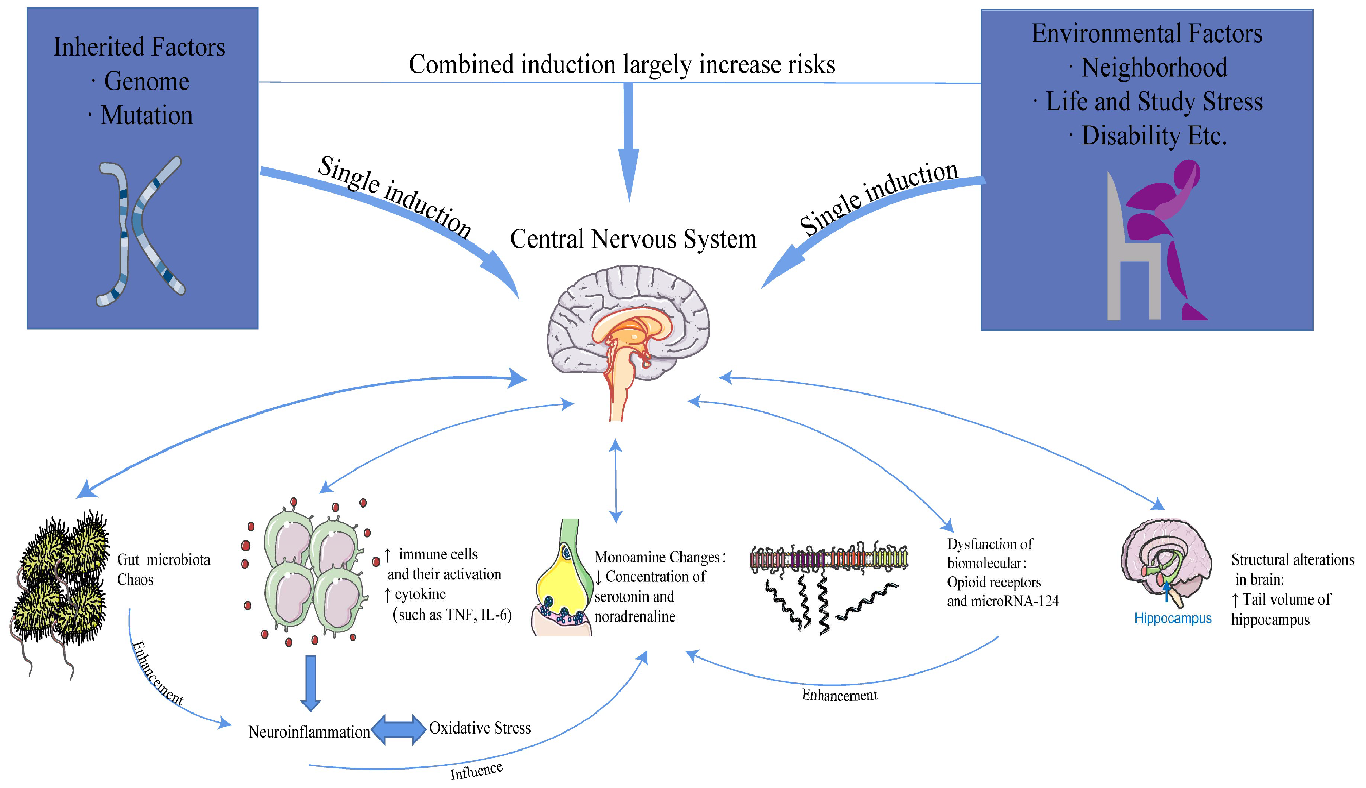 Biomedicines 13 01081 g002
