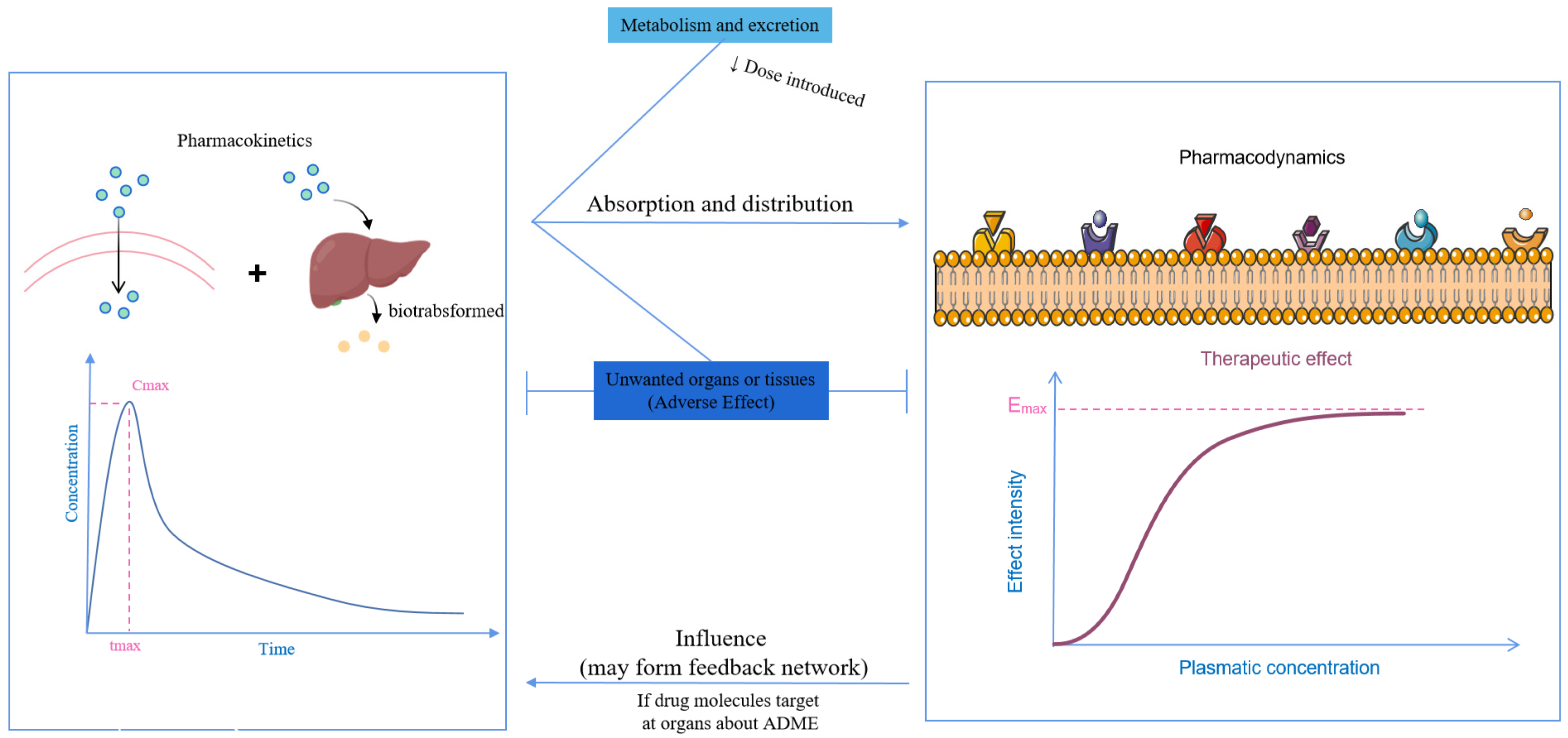 Biomedicines 13 01081 g003